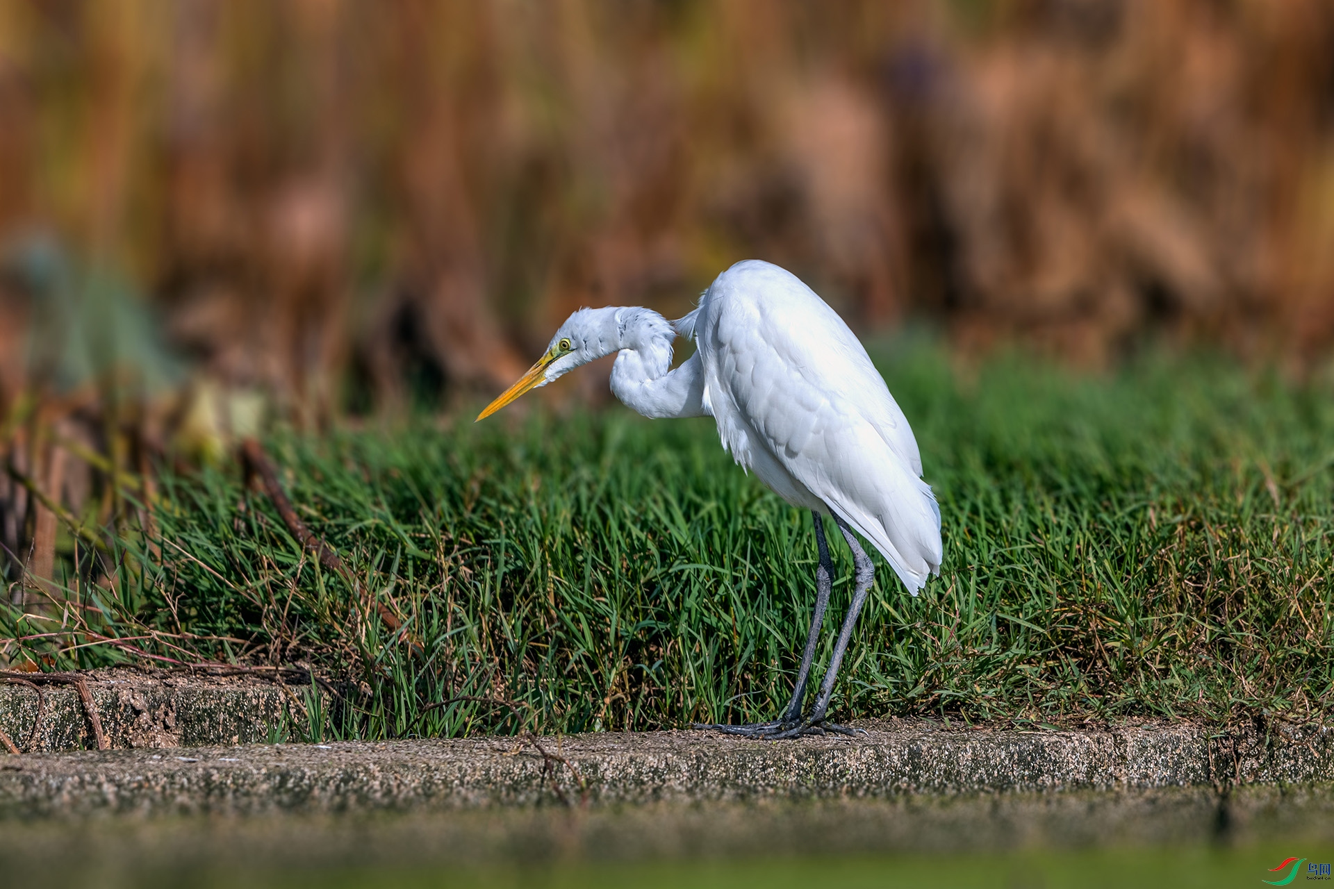 _AUU0727 �а���(25.11.23).jpg