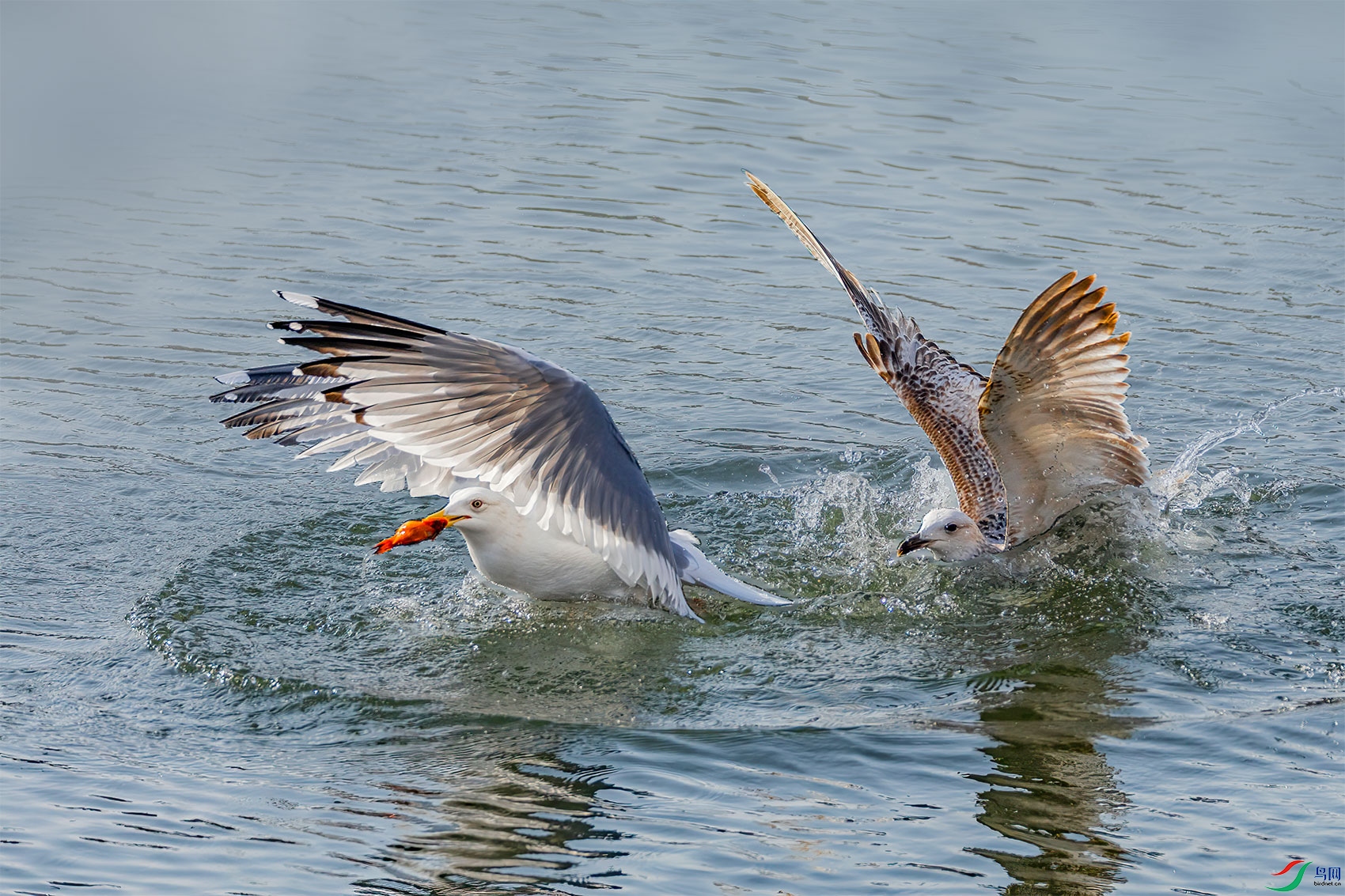 BK0A6318_21-03.jpg
