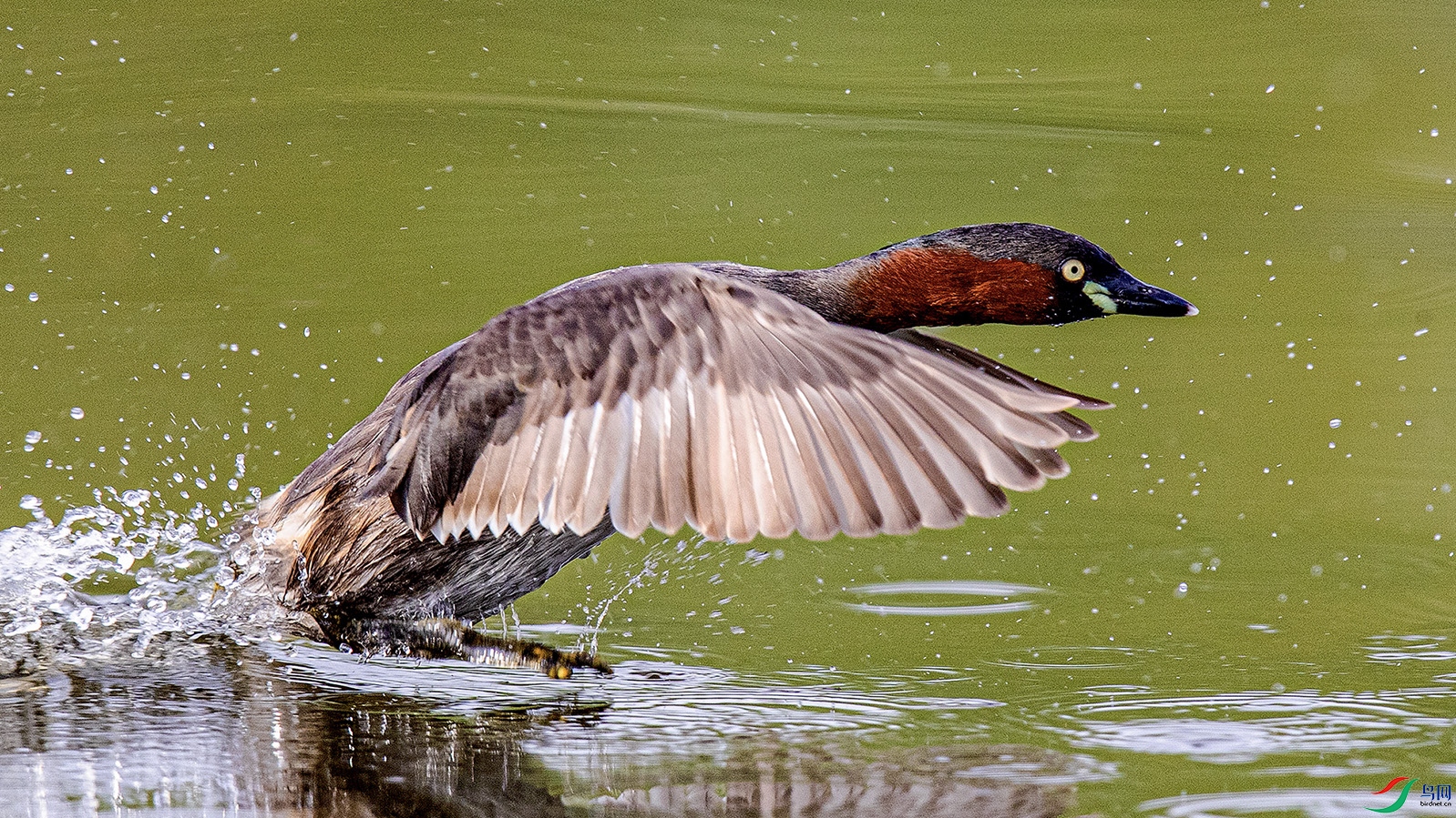 _90I9892 ���� 2.jpg