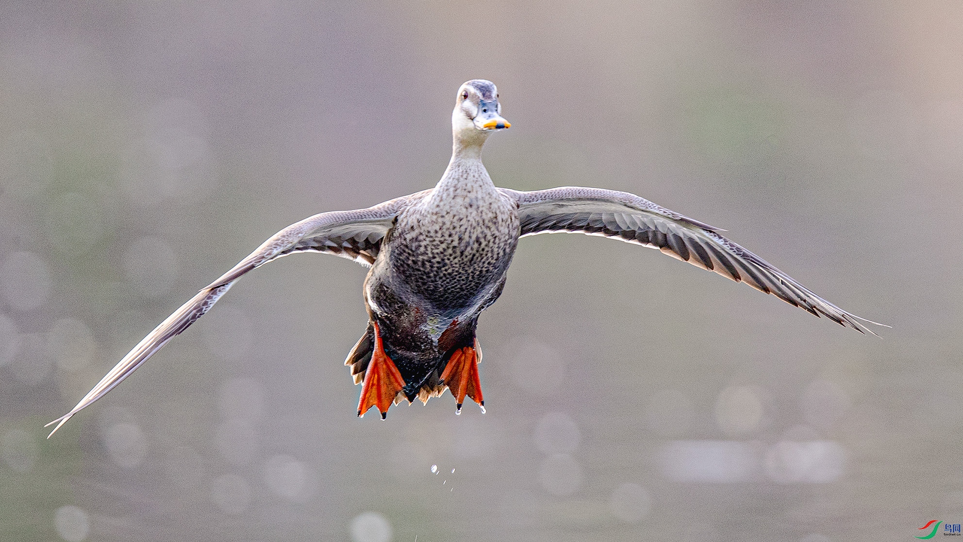 _90I0226 ����.jpg