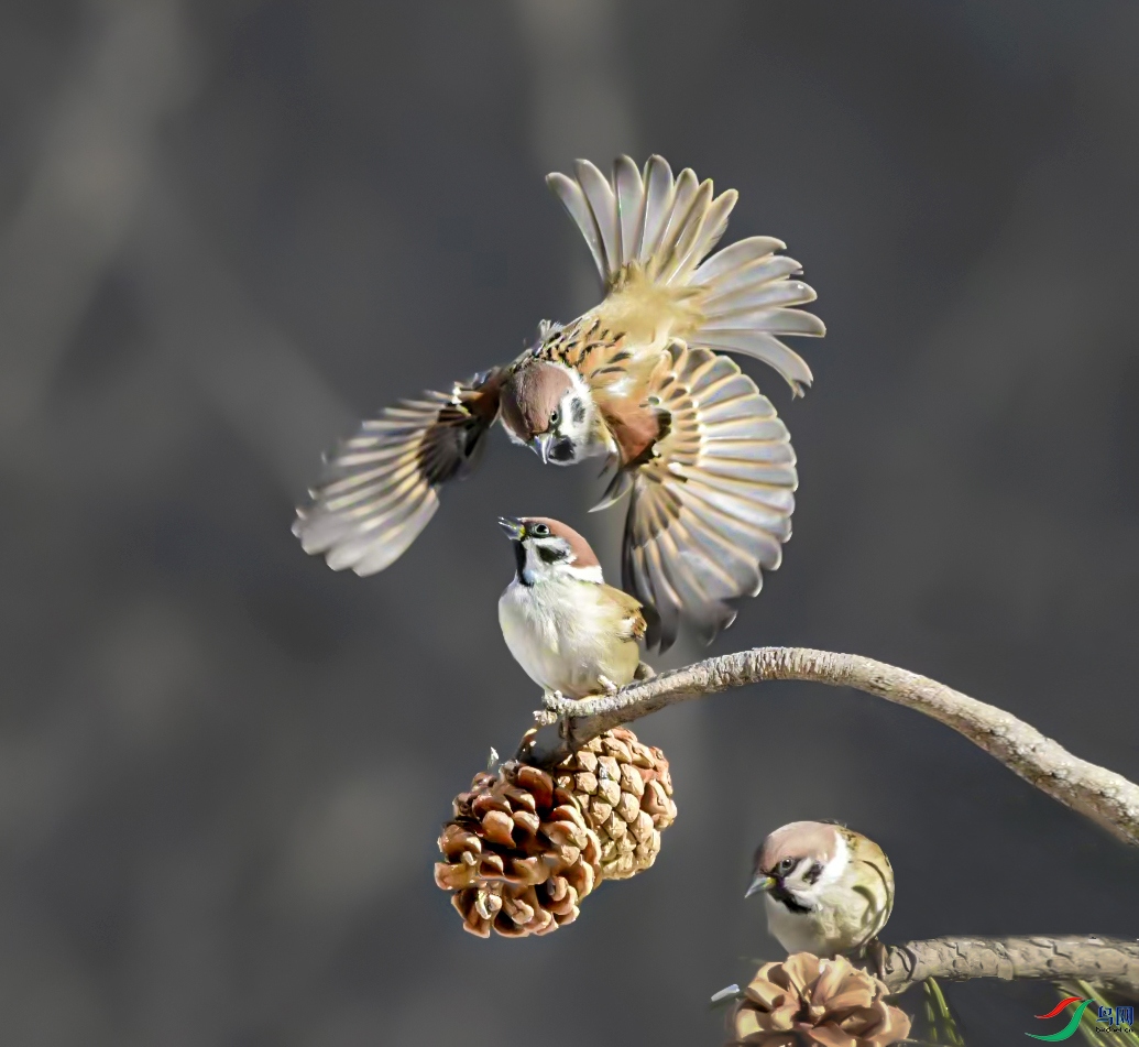 mmexport1769255367193 ����.jpg