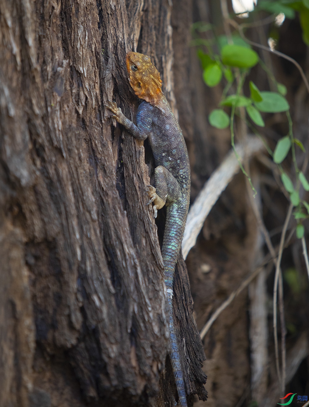 ���� (2).jpg