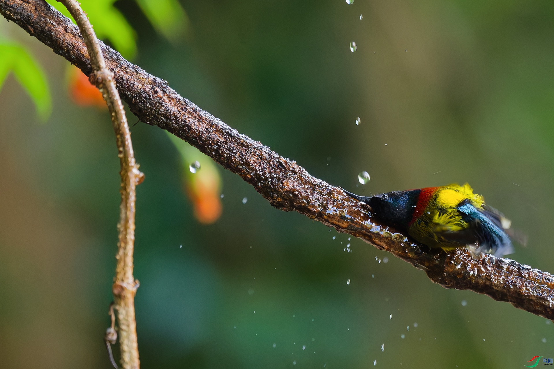 DSC_6978_DxO_DxOa.jpg