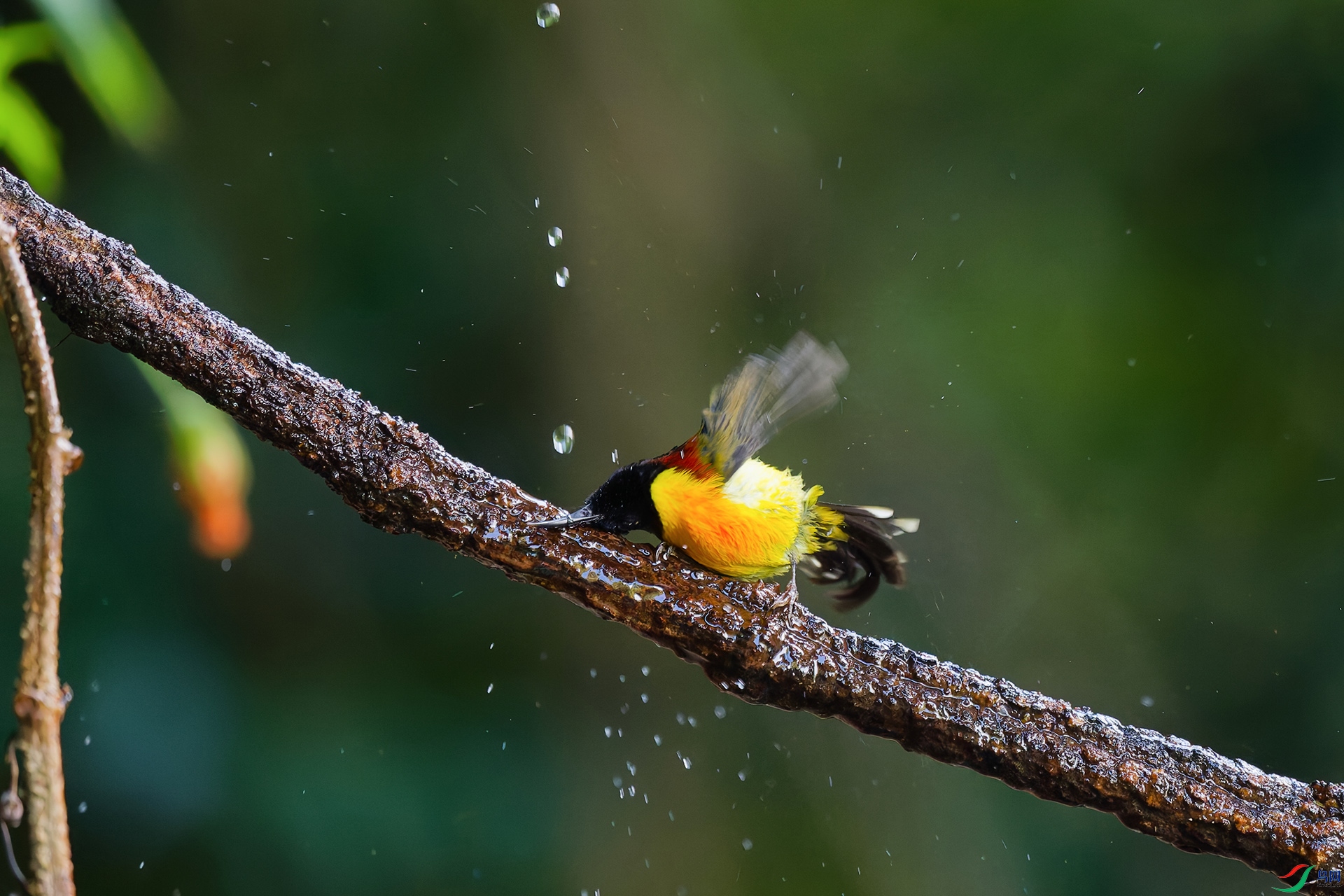 DSC_6888_DxO_DxOa.jpg