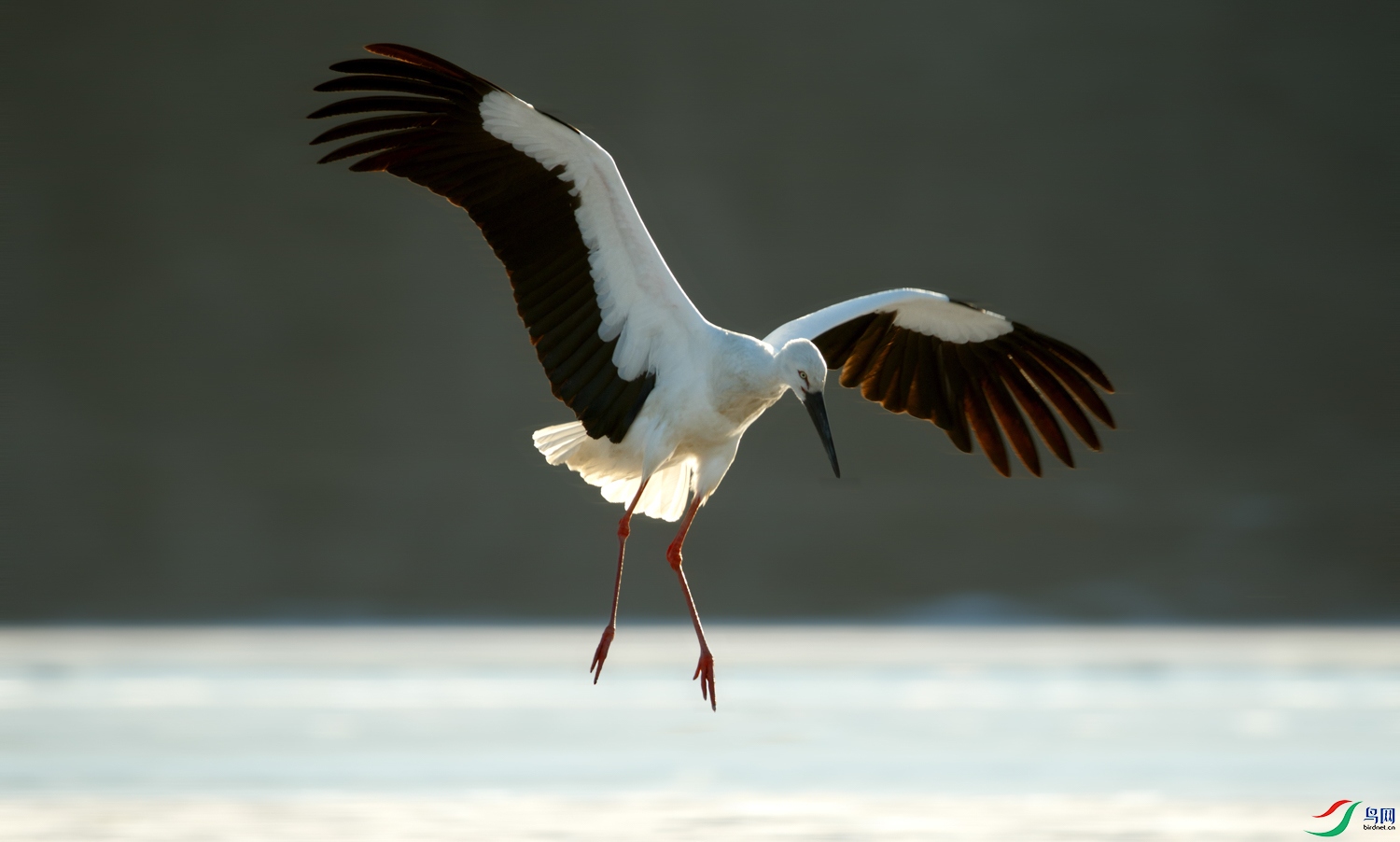 1N5A3340 ���� 2.jpg