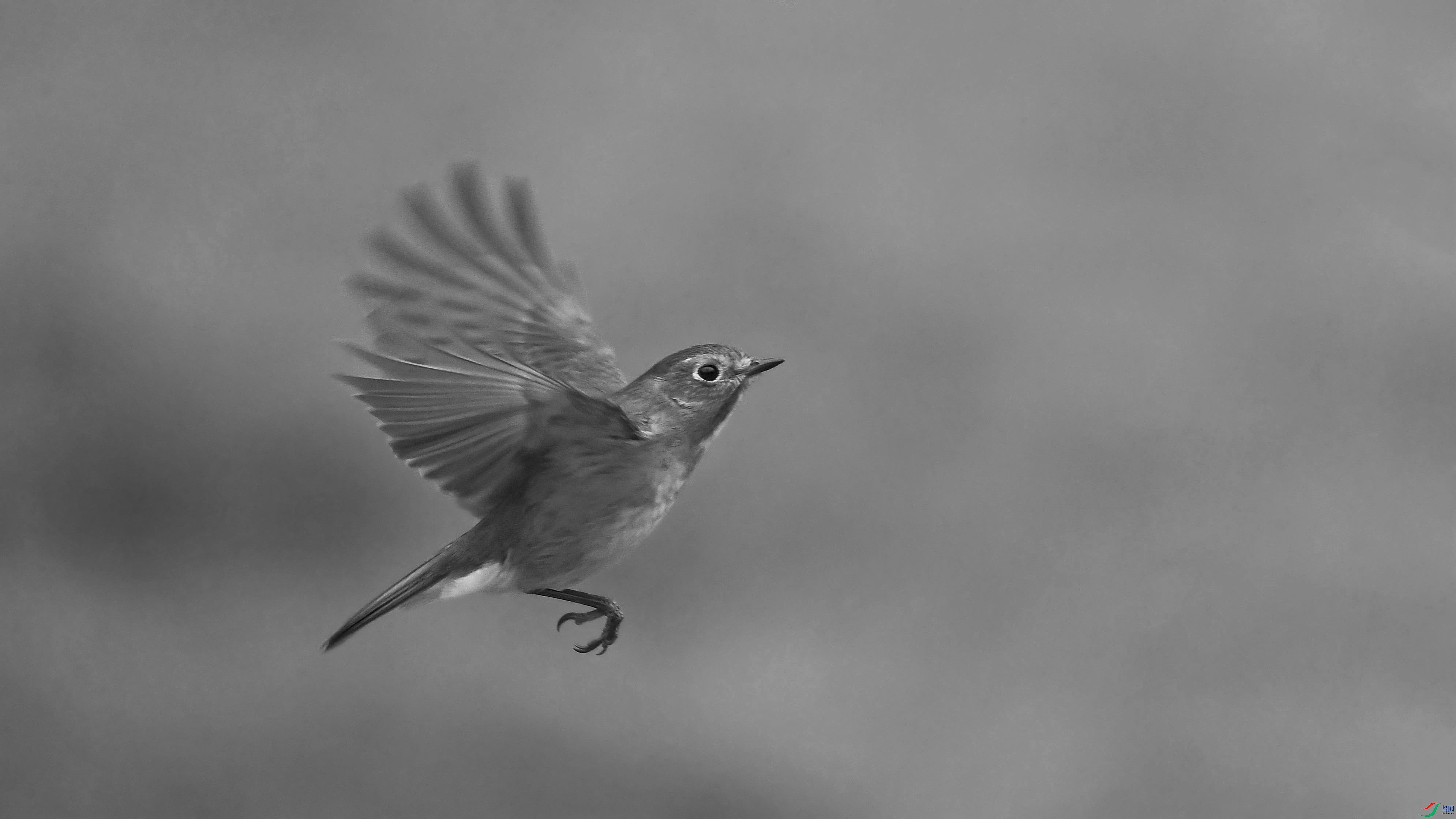 DSC_2802.JPG