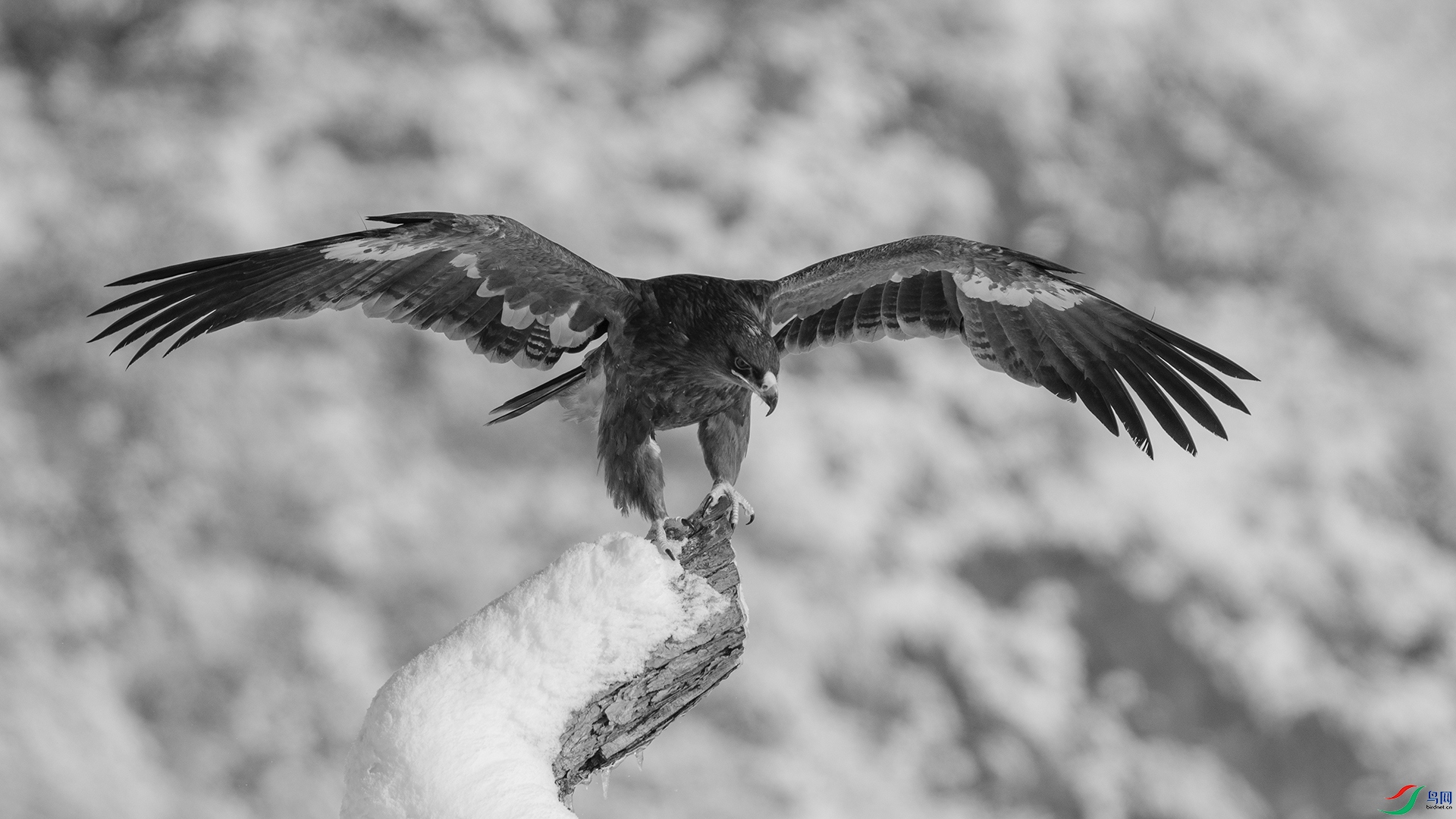 DSC05088 ����.jpg