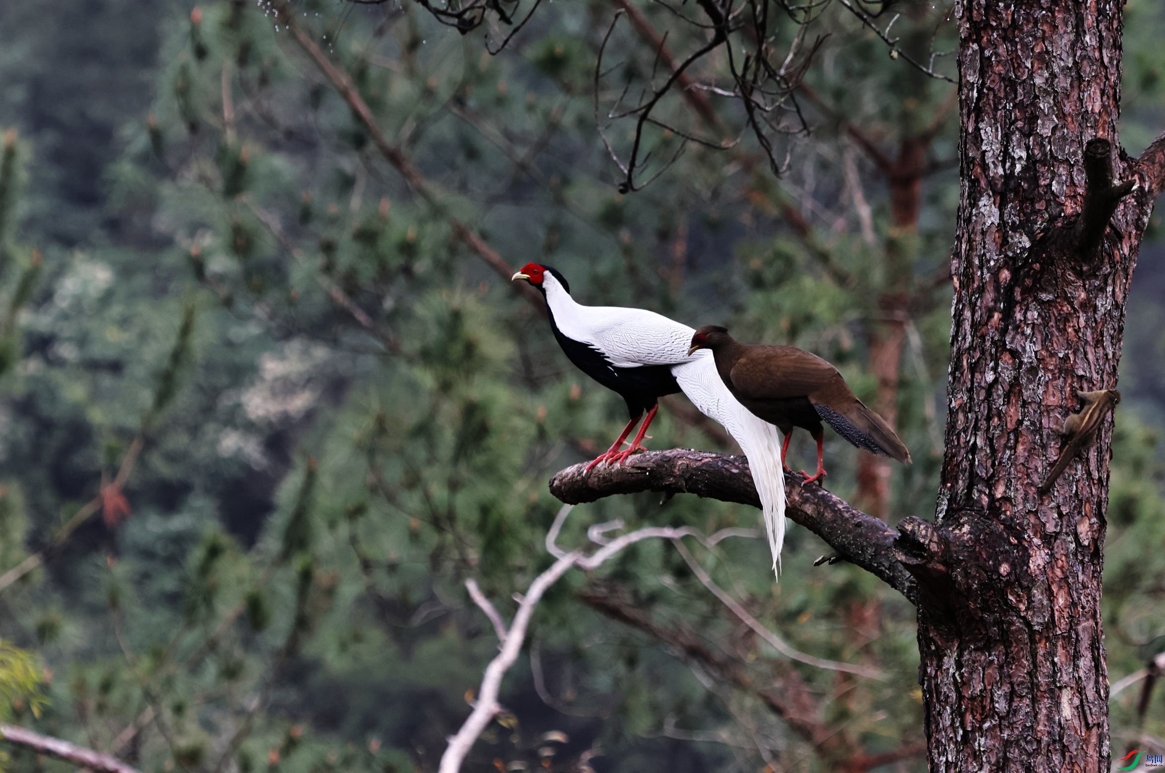 ���� (87).JPG