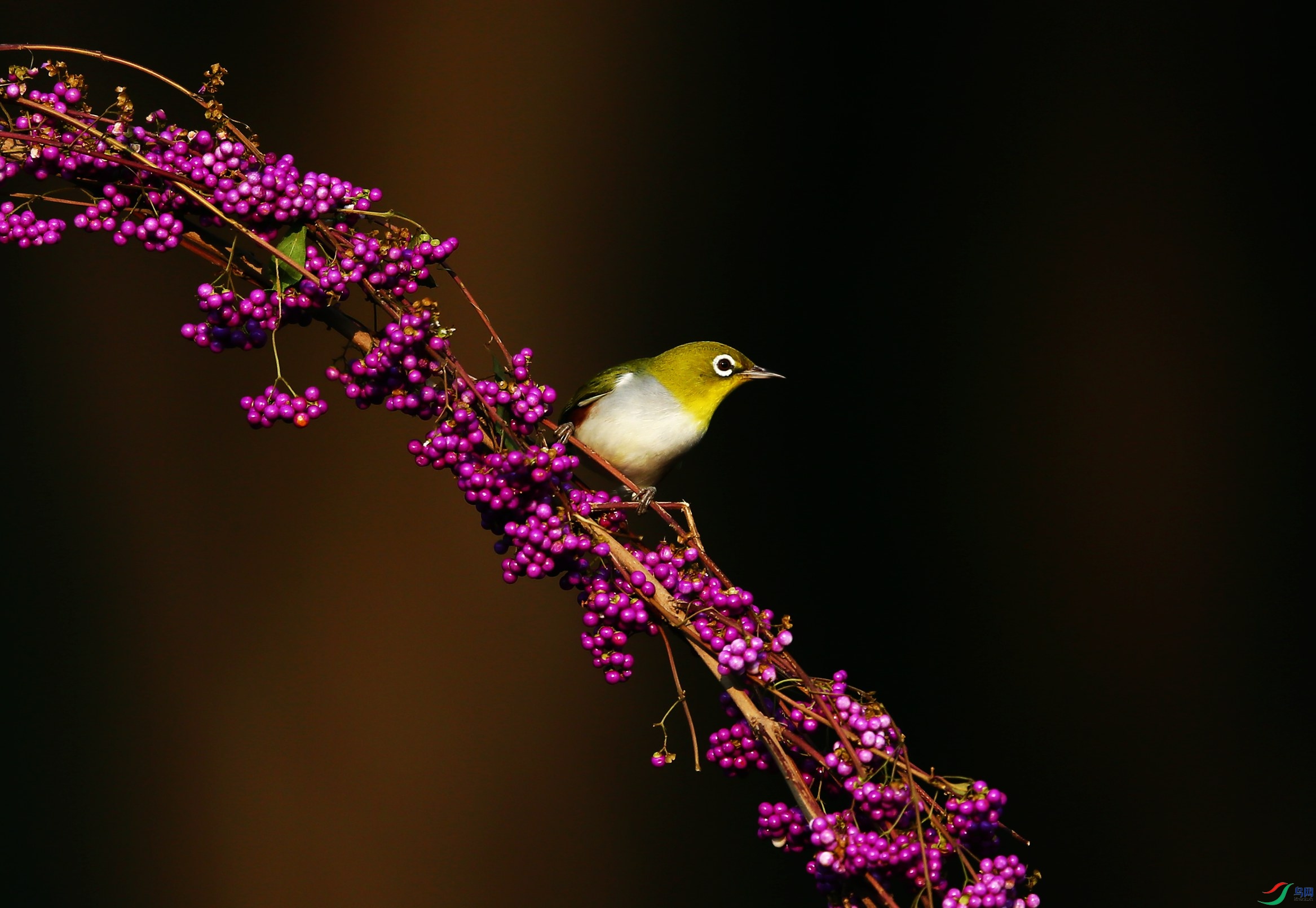 ��Э������ (7).JPG