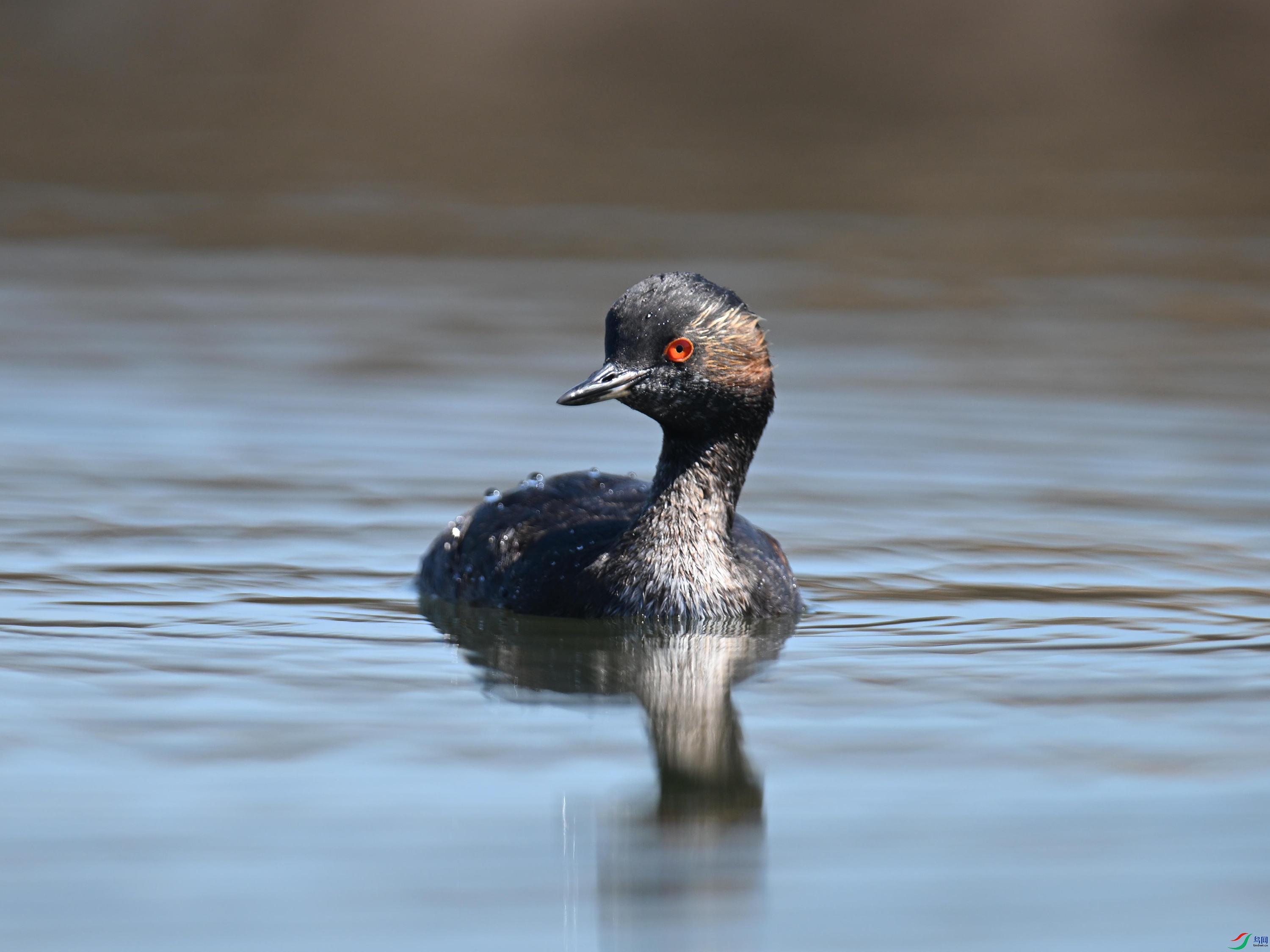 �ھ�PT1 (14).jpg