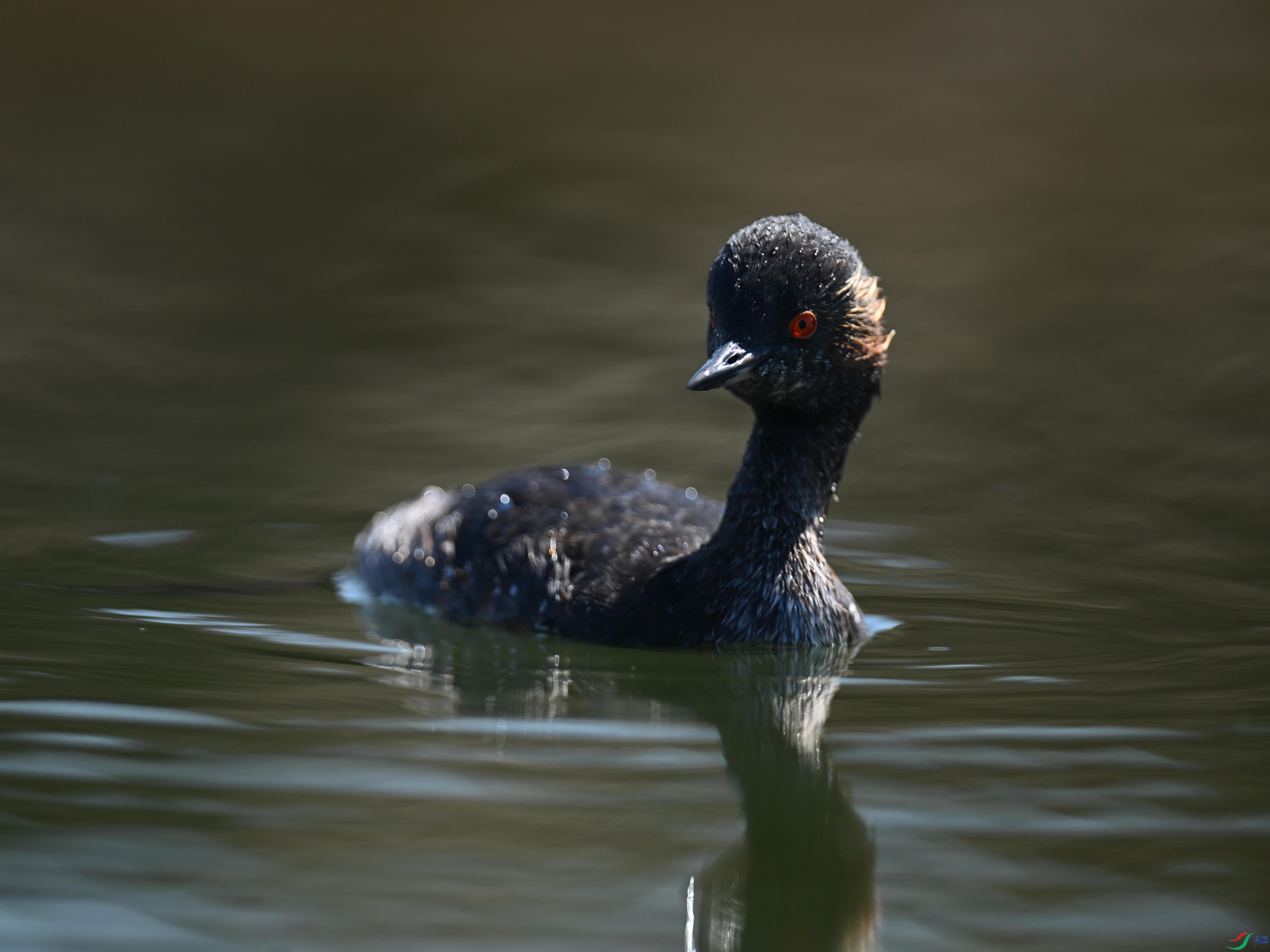 �ھ�PT1 (18).jpg