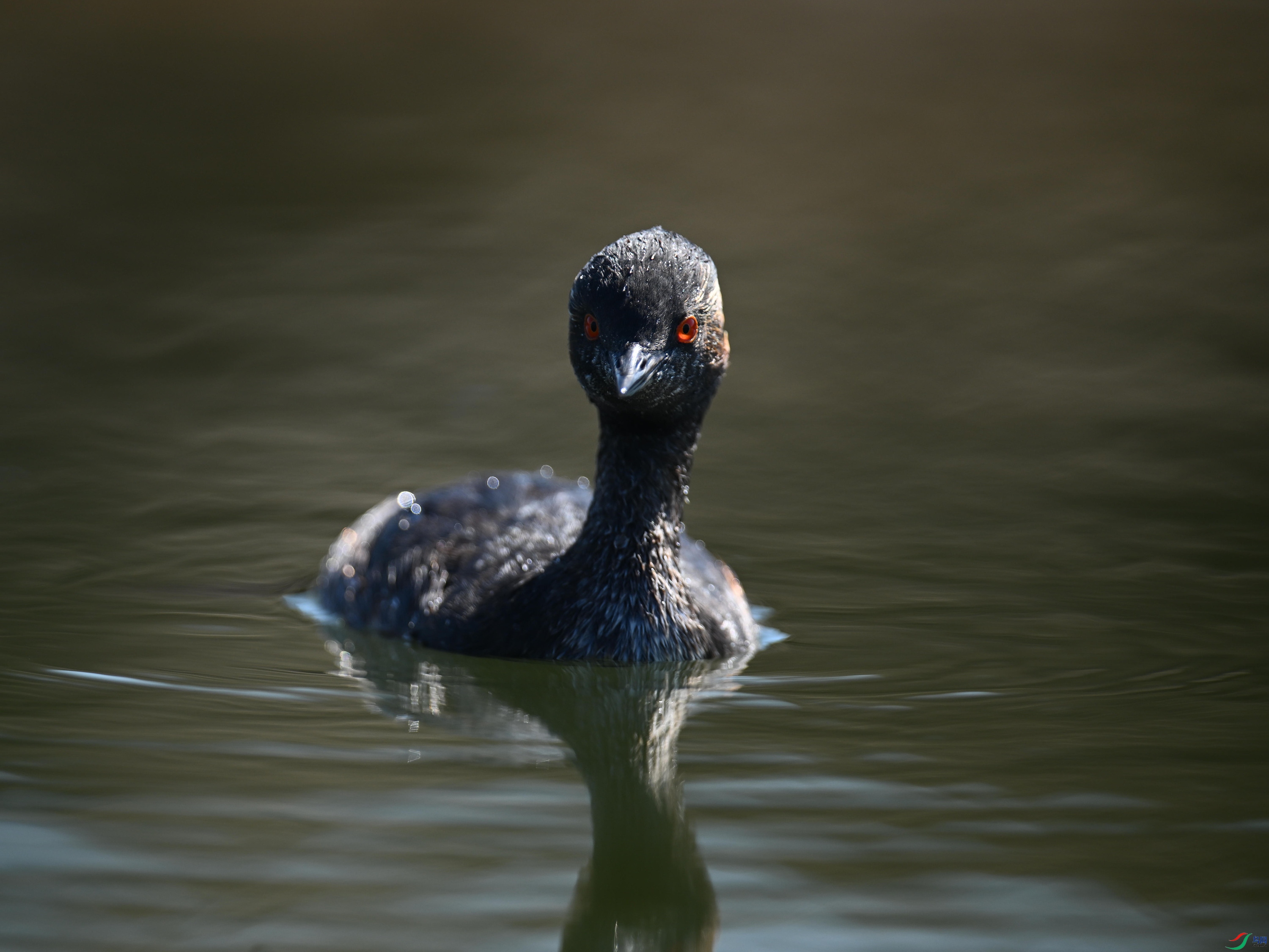 �ھ�PT1 (20).jpg