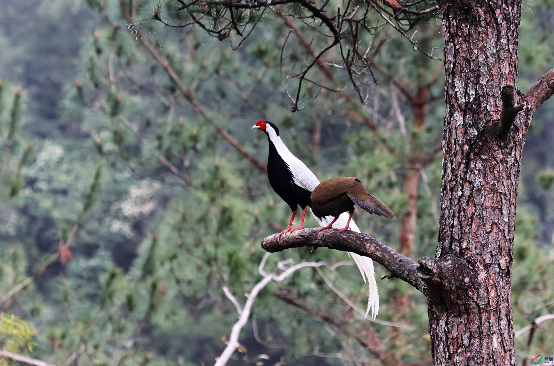 ���� (91).JPG