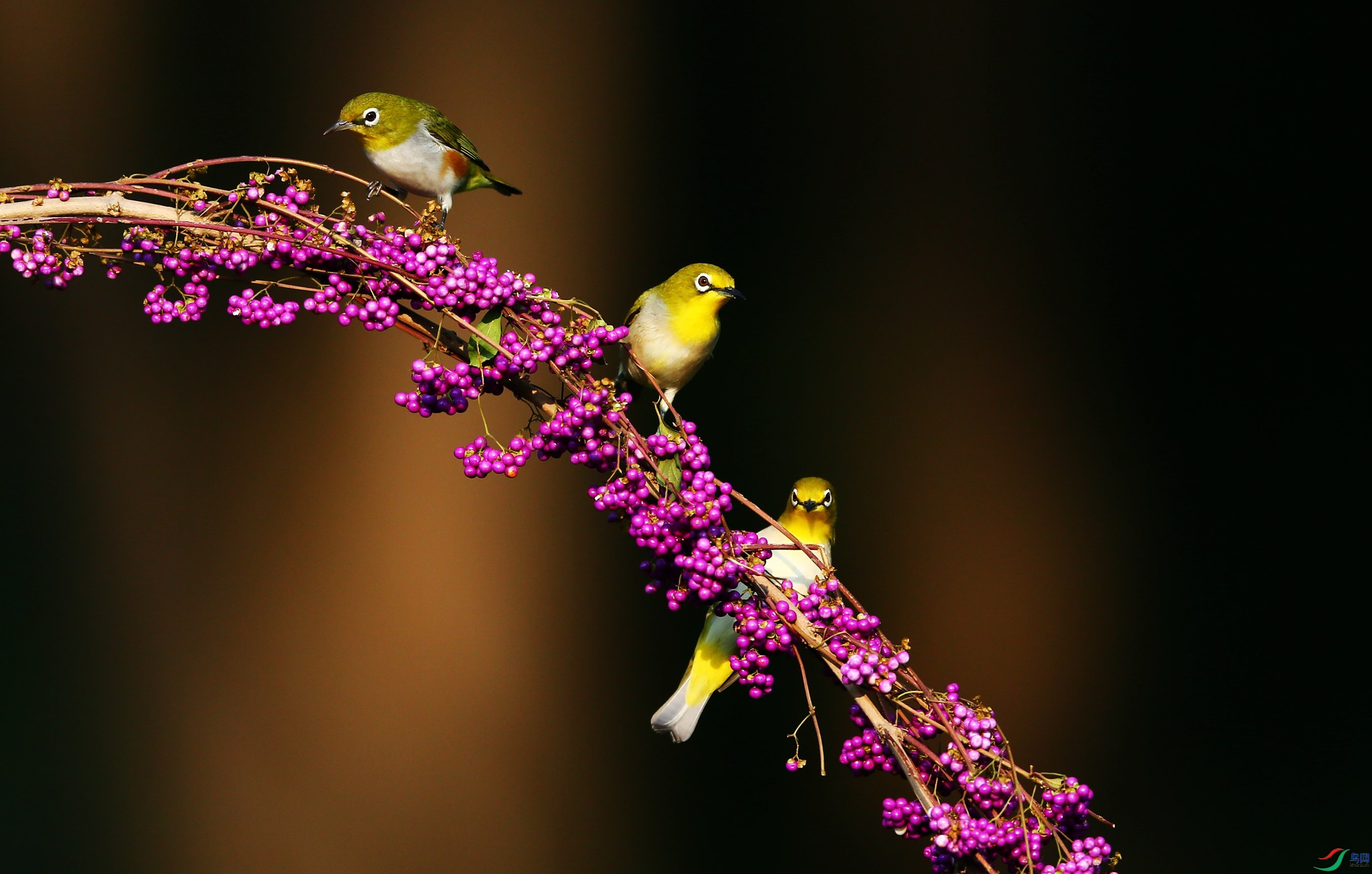 ��Э������ (9).JPG