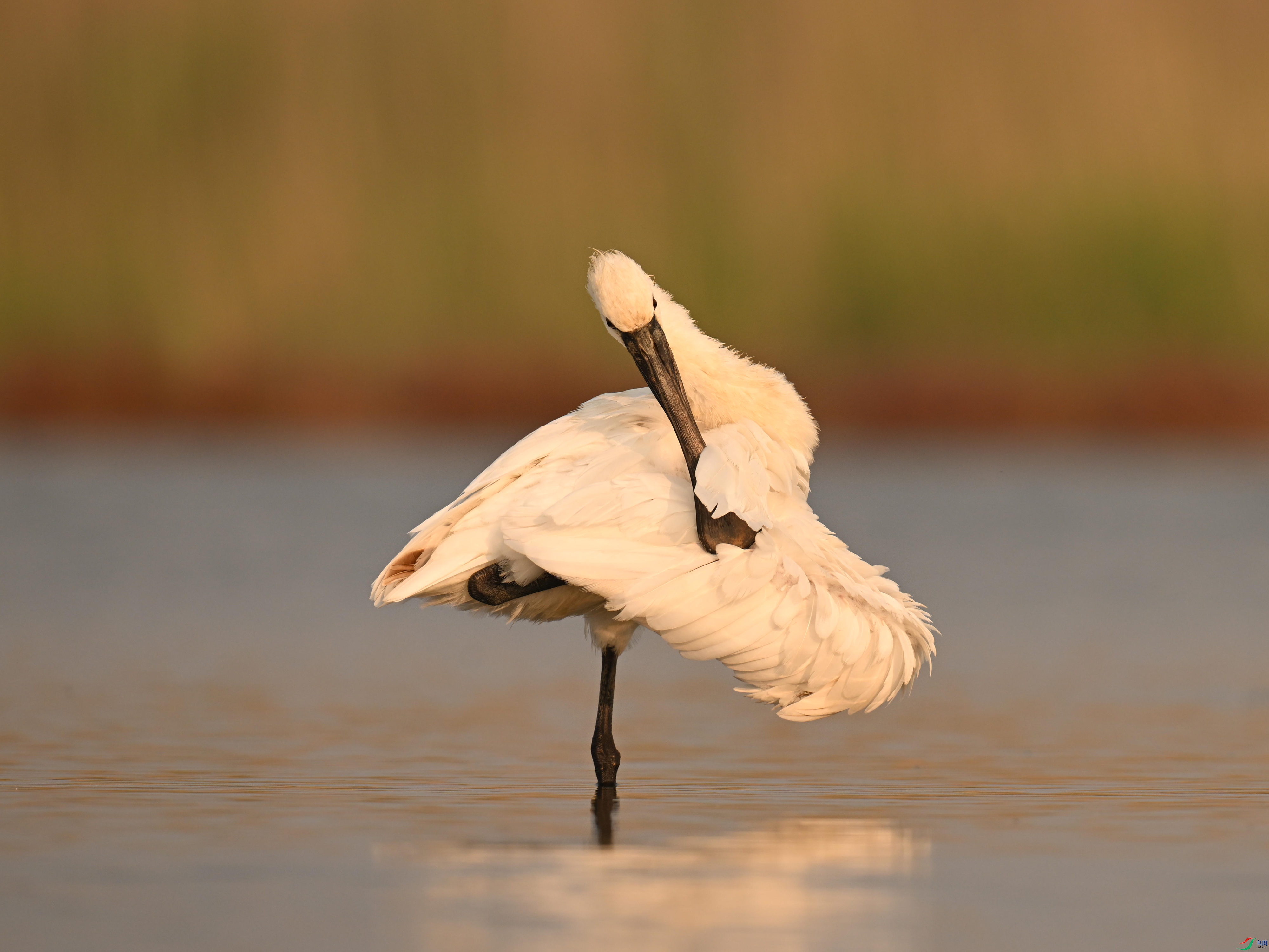 �������� (12).jpg