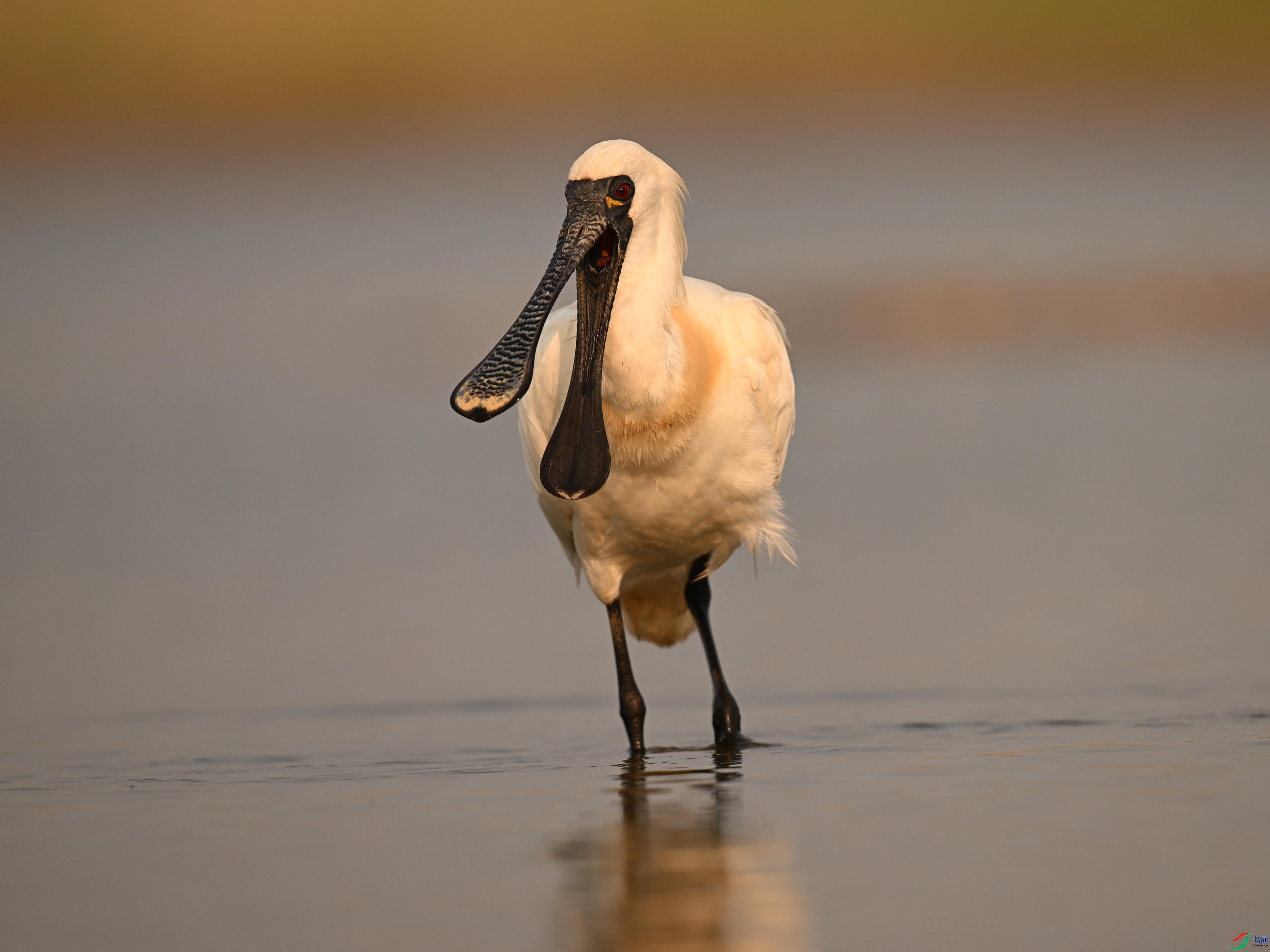 �������� (14).jpg