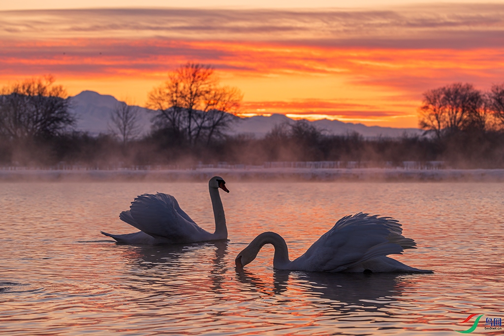 xjynR5241222 (5800).jpg