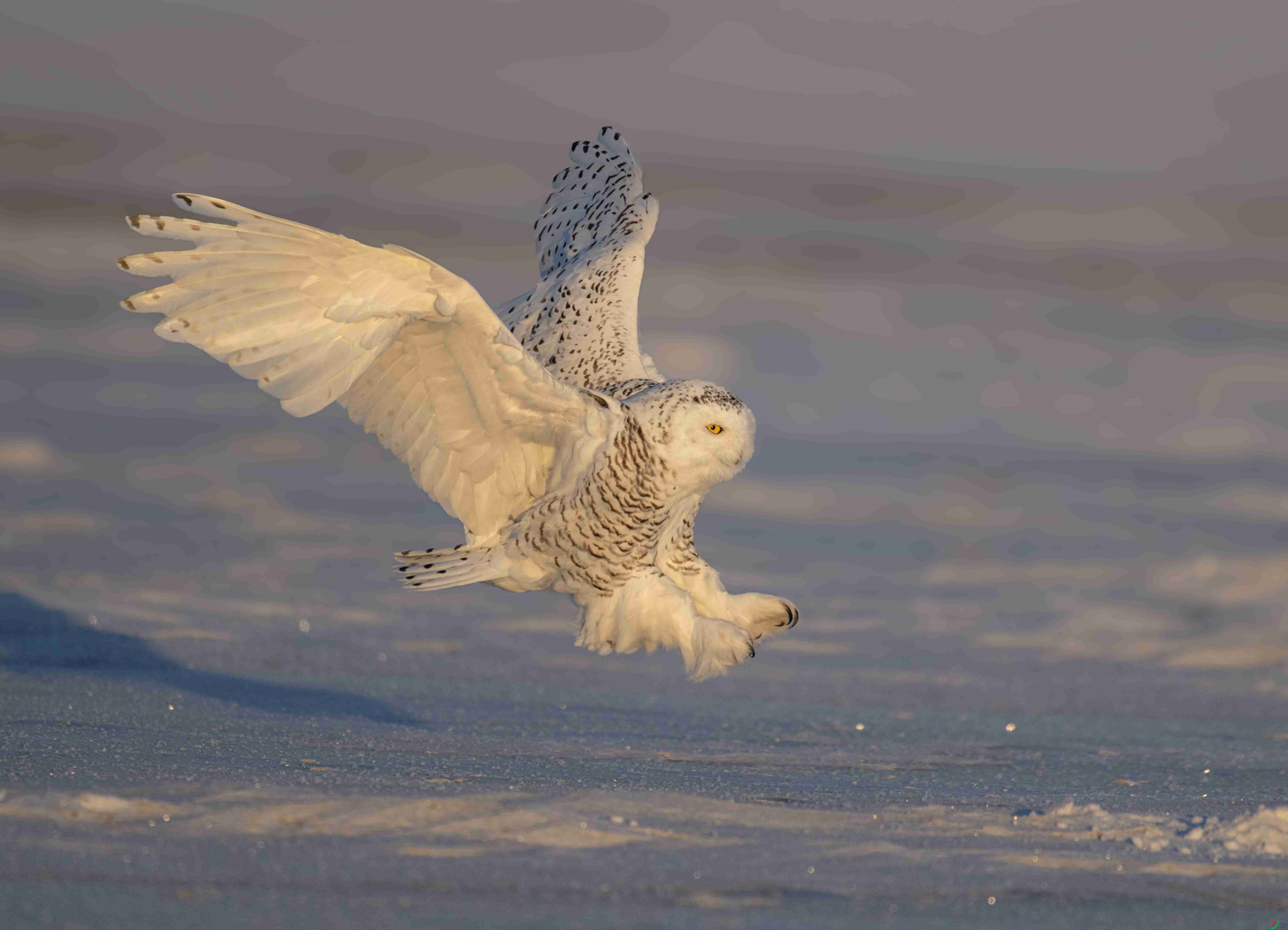 1DS_3572 ����_����.jpg