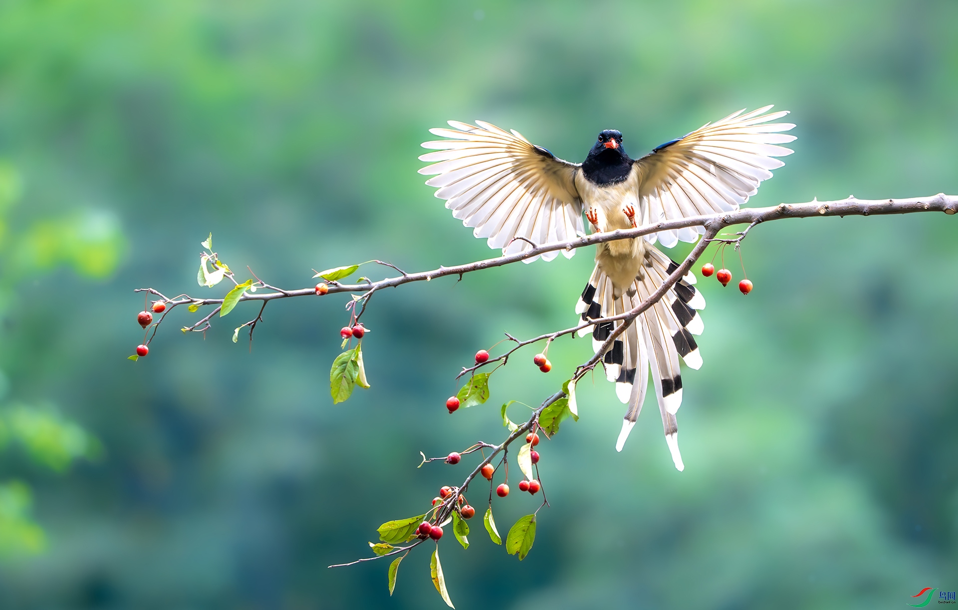 DSC06476-����ǿ-NR ����.jpg