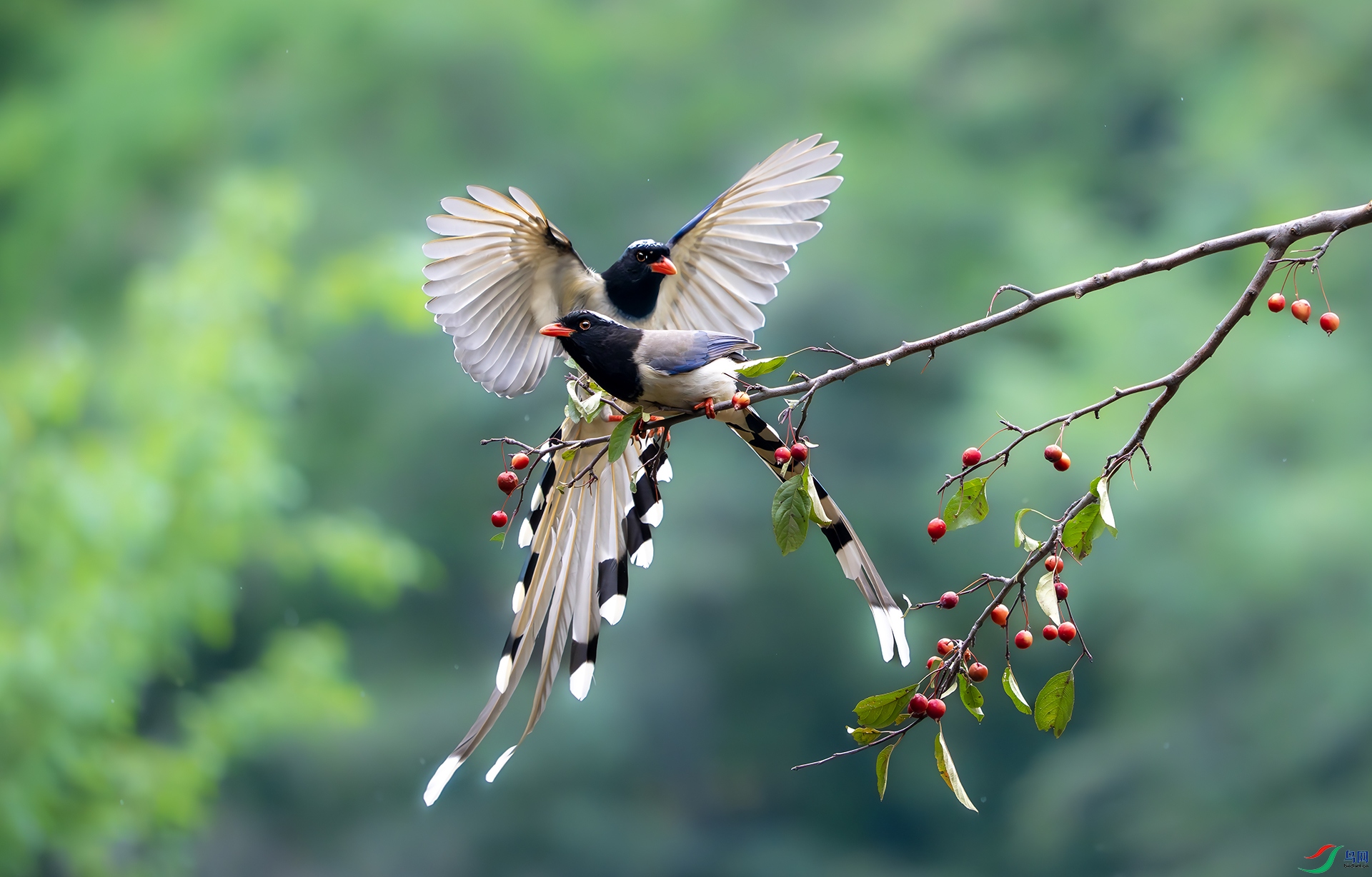 DSC06477-����ǿ-NR ����.jpg