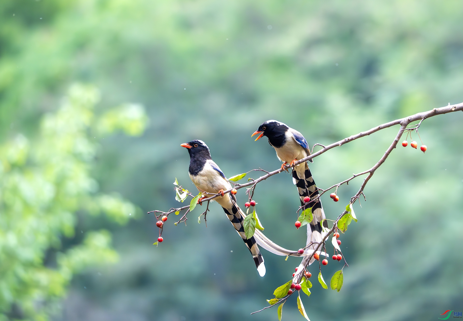 DSC06482-����ǿ-NR ����.jpg