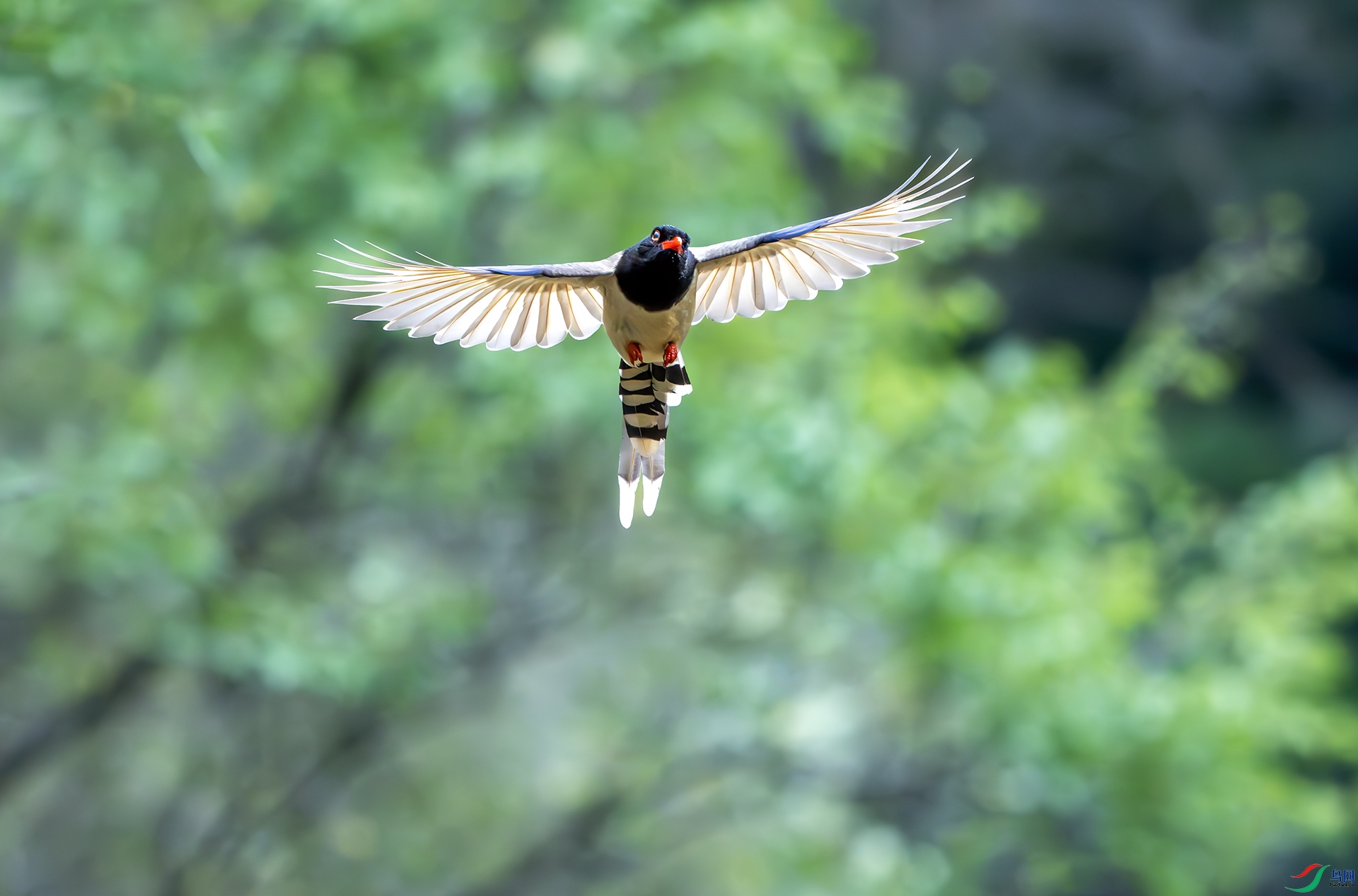 DSC06787-����ǿ-NR-1 ����.jpg