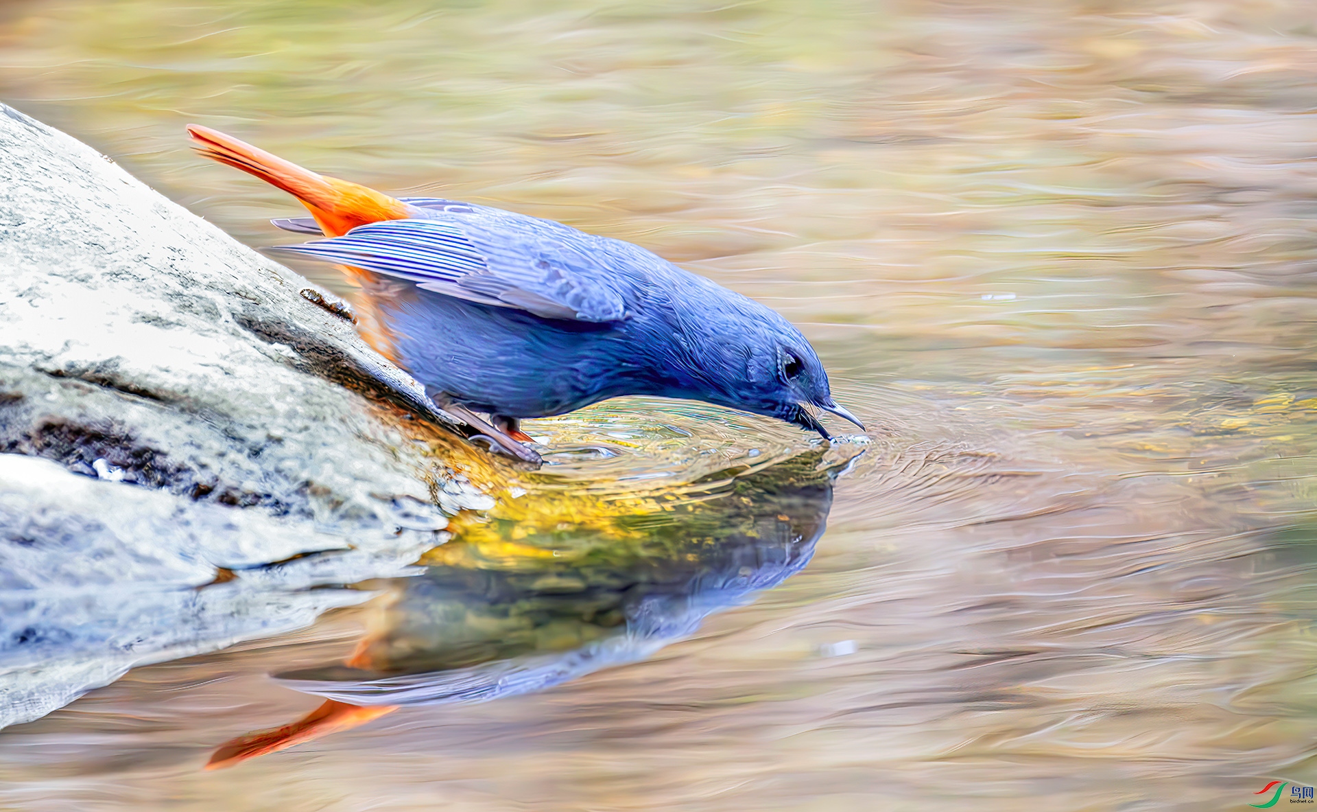 407A2791-----33  .jpg