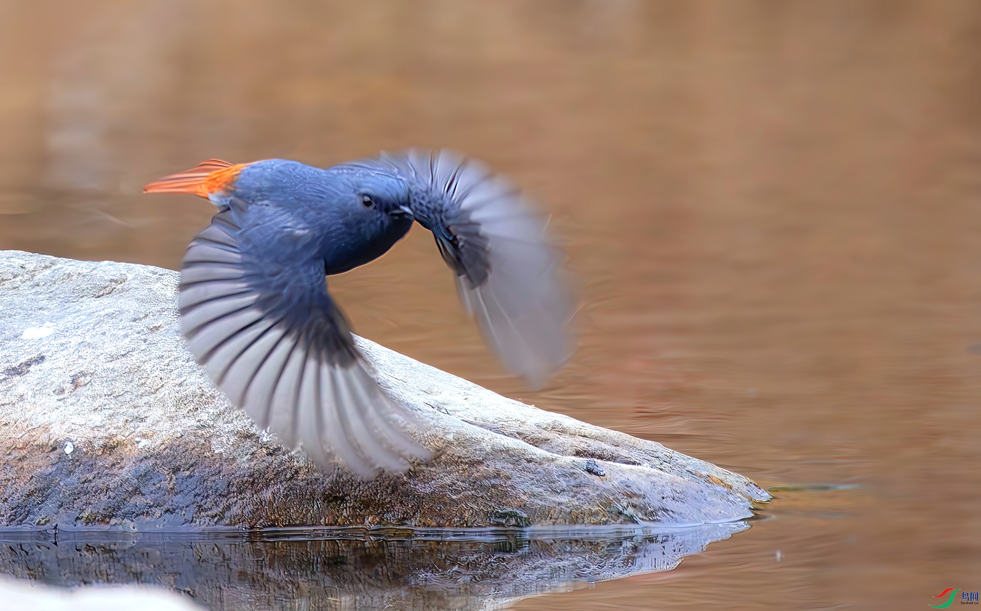 407A1267-----33  .jpg