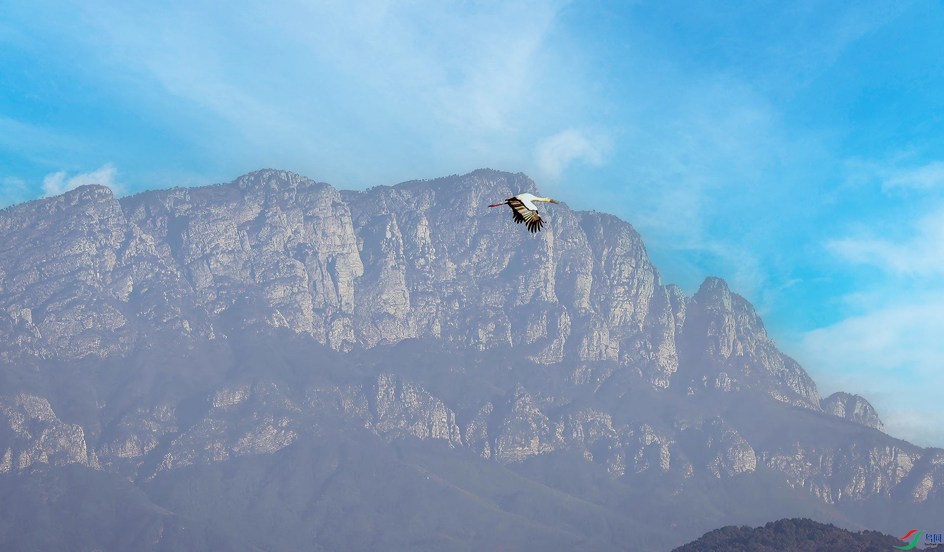 407A0812------33  .jpg