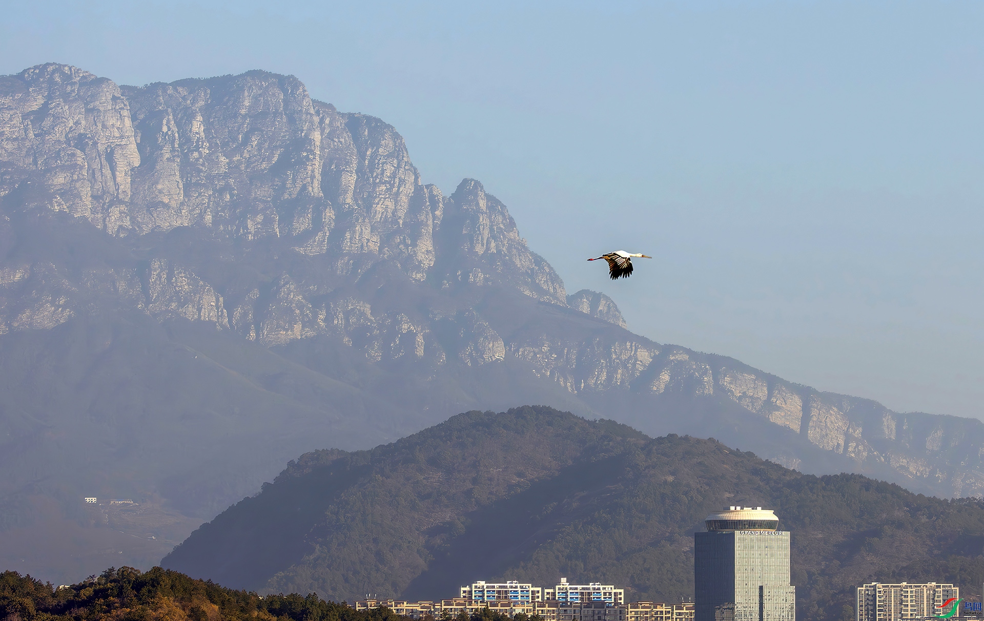 407A0729------33  .jpg