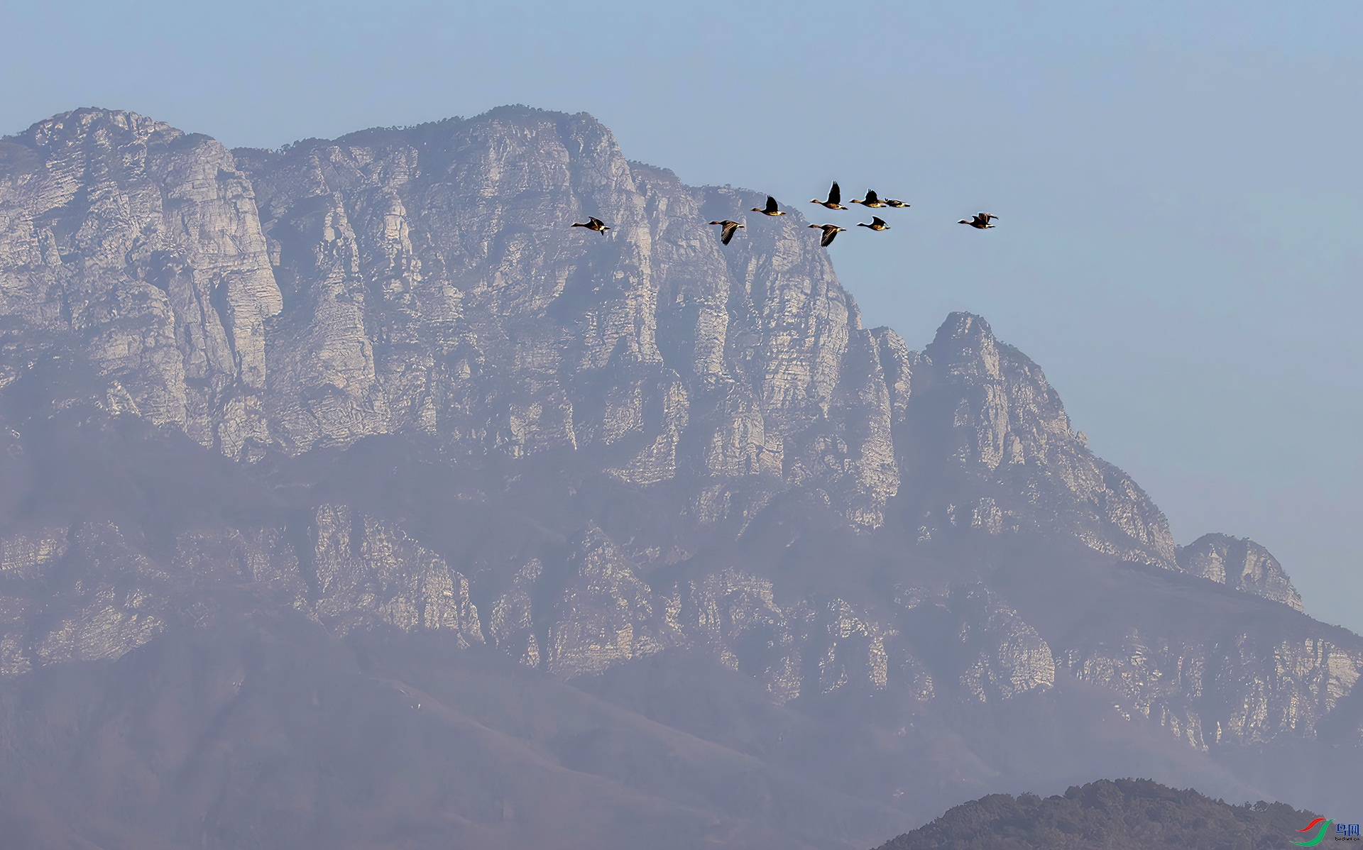 407A0661----33  .jpg