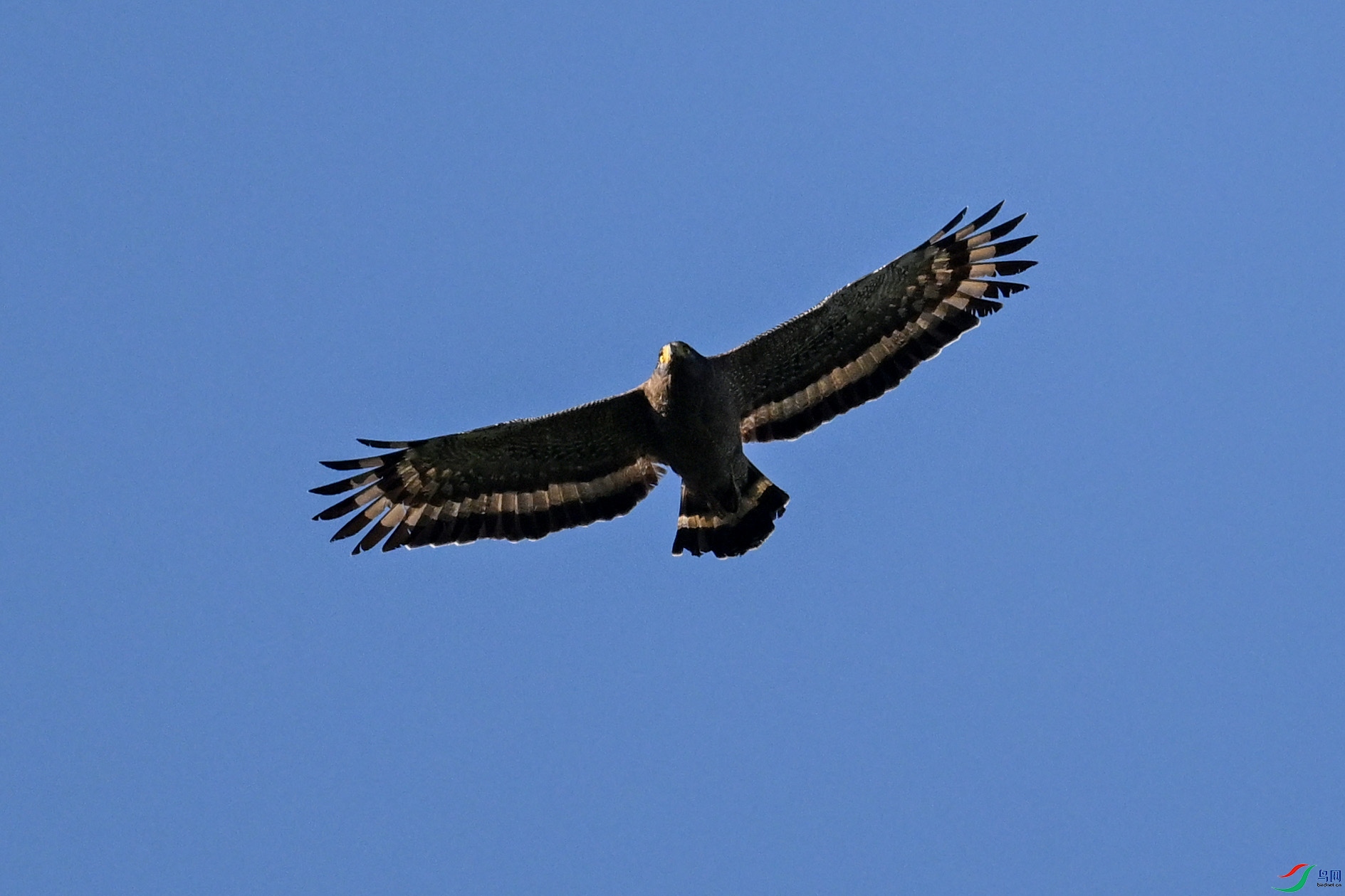 DSC_6297.JPG
