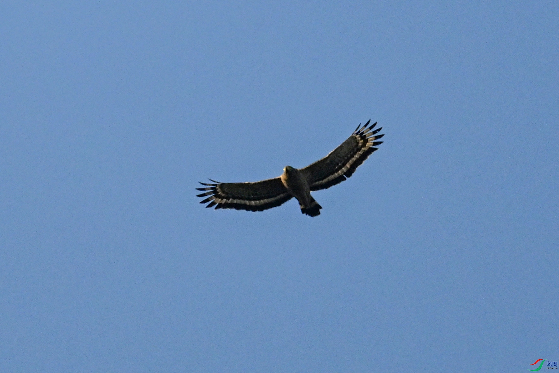 DSC_6245.JPG