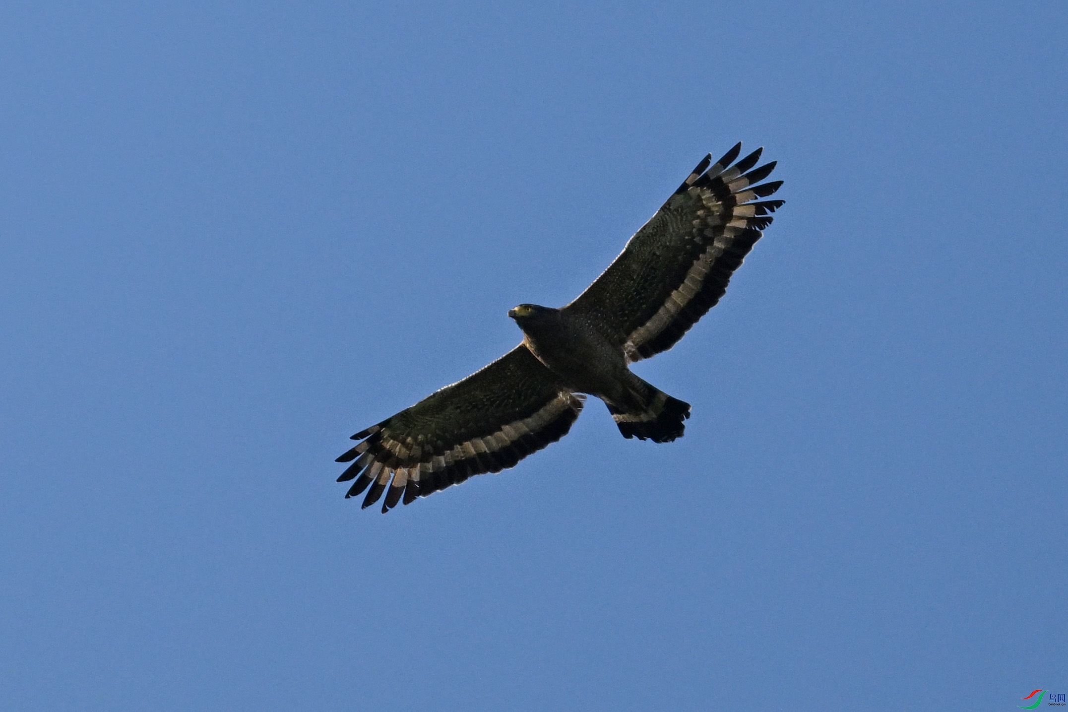 DSC_6302.JPG