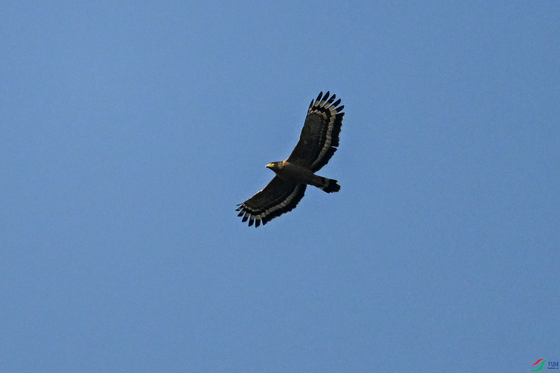 DSC_6249.JPG