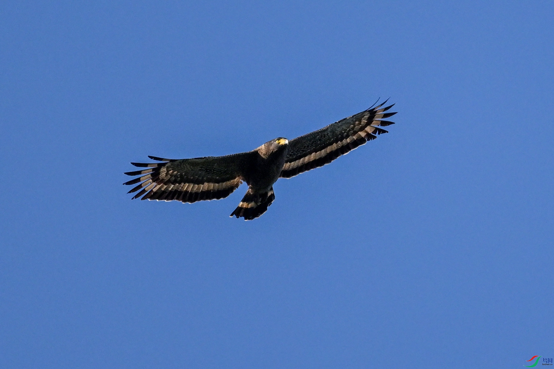 DSC_6293.JPG