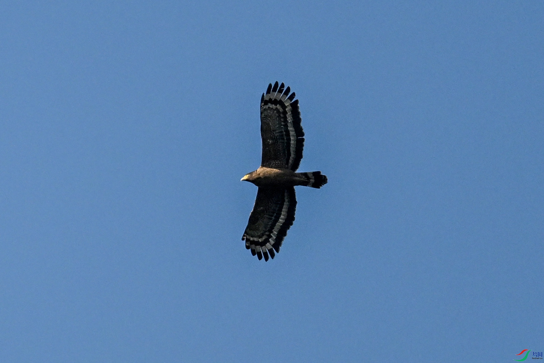 DSC_6255.JPG