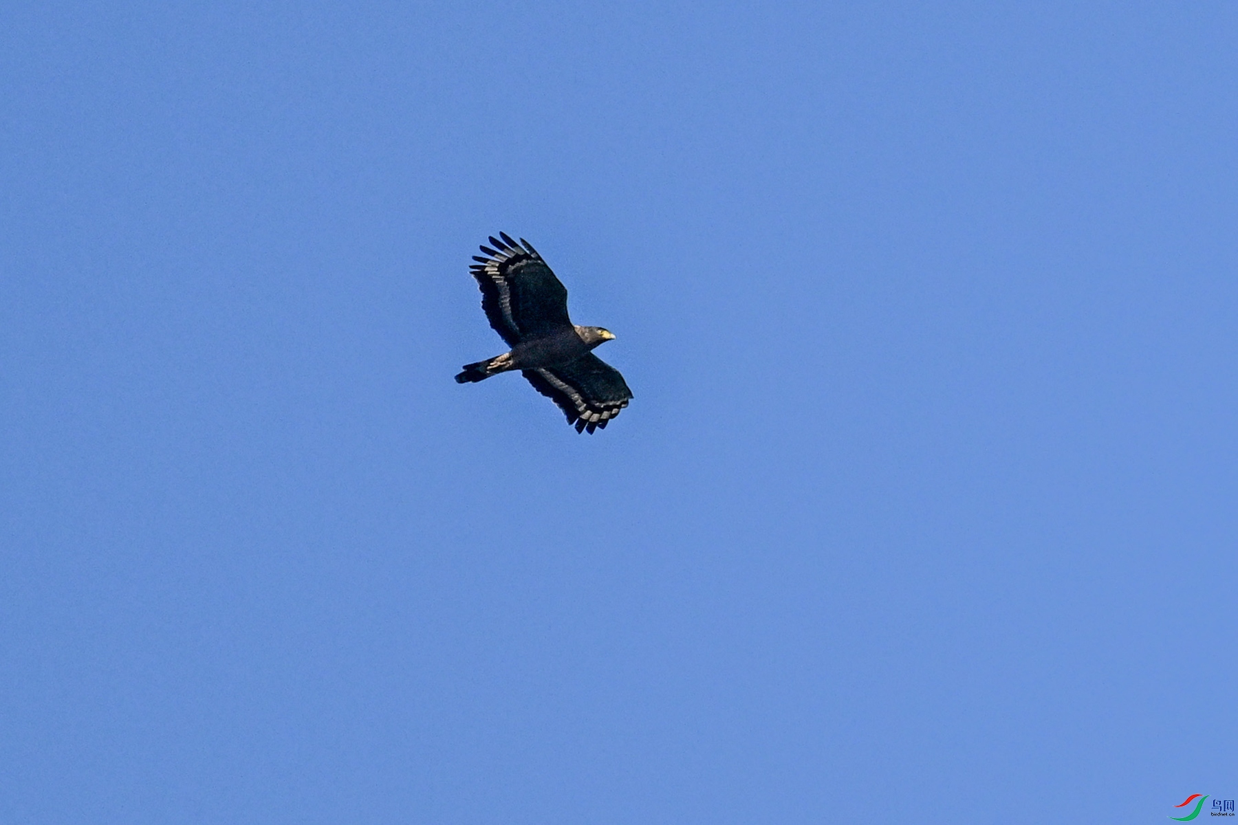 DSC_6258.JPG