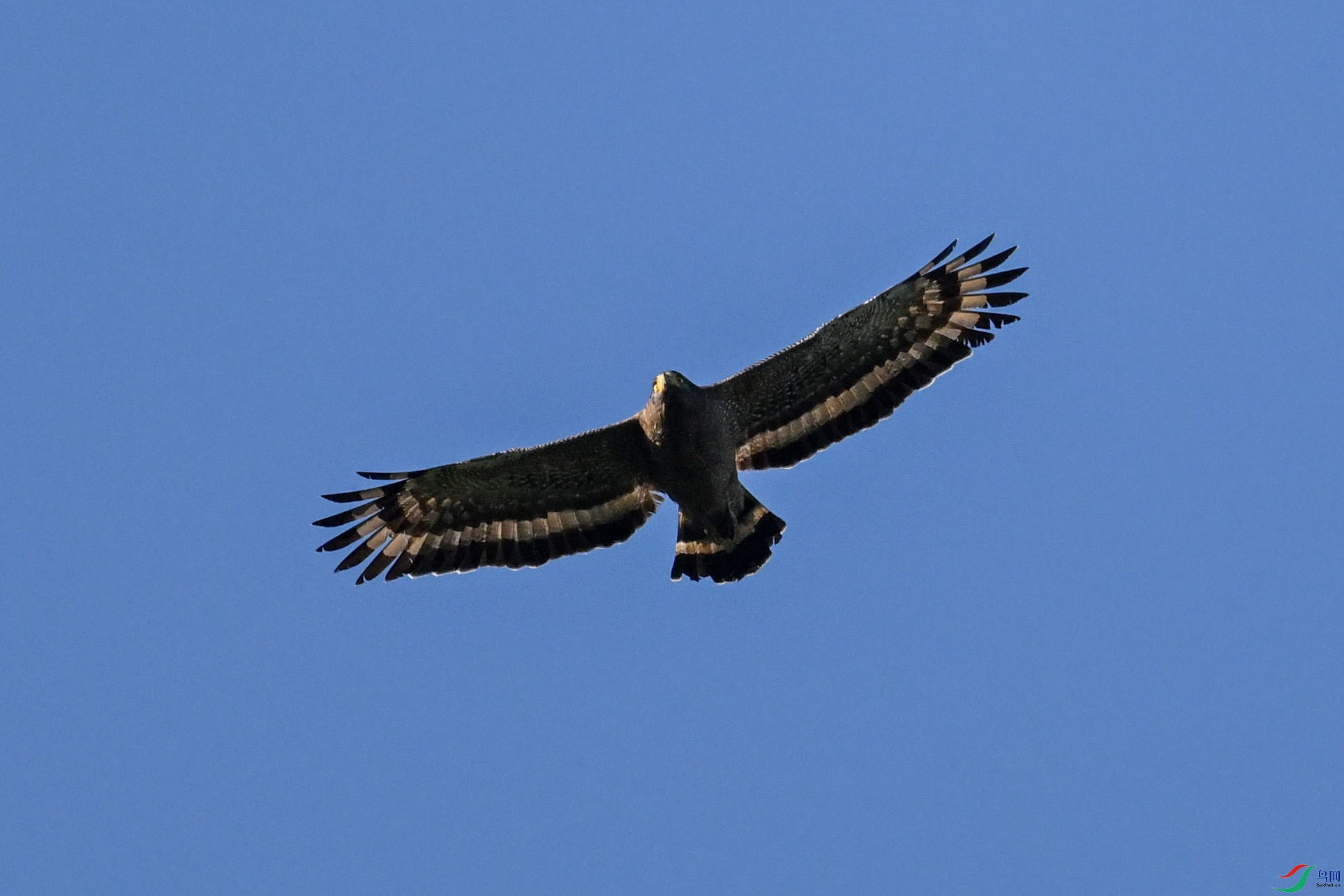 DSC_6298.JPG