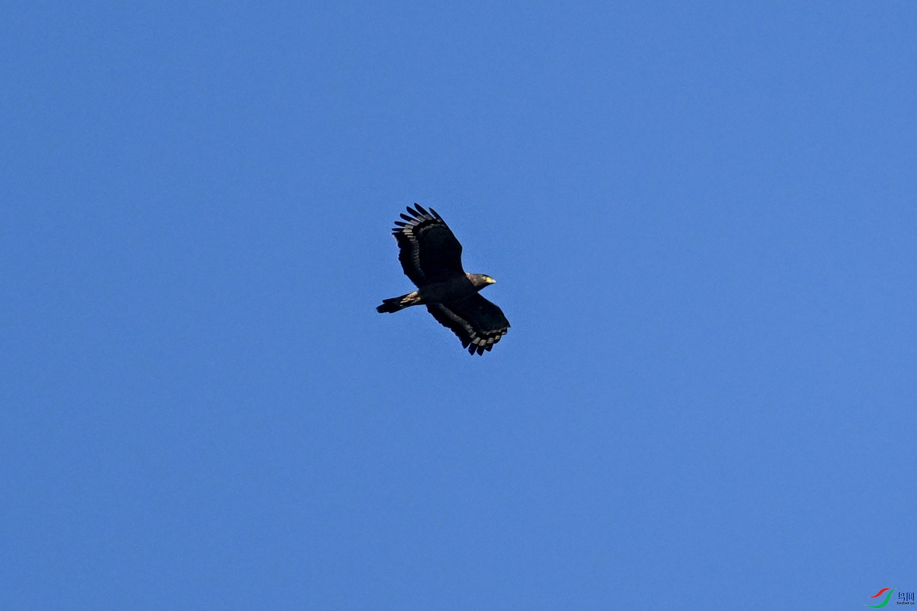 DSC_6261.JPG
