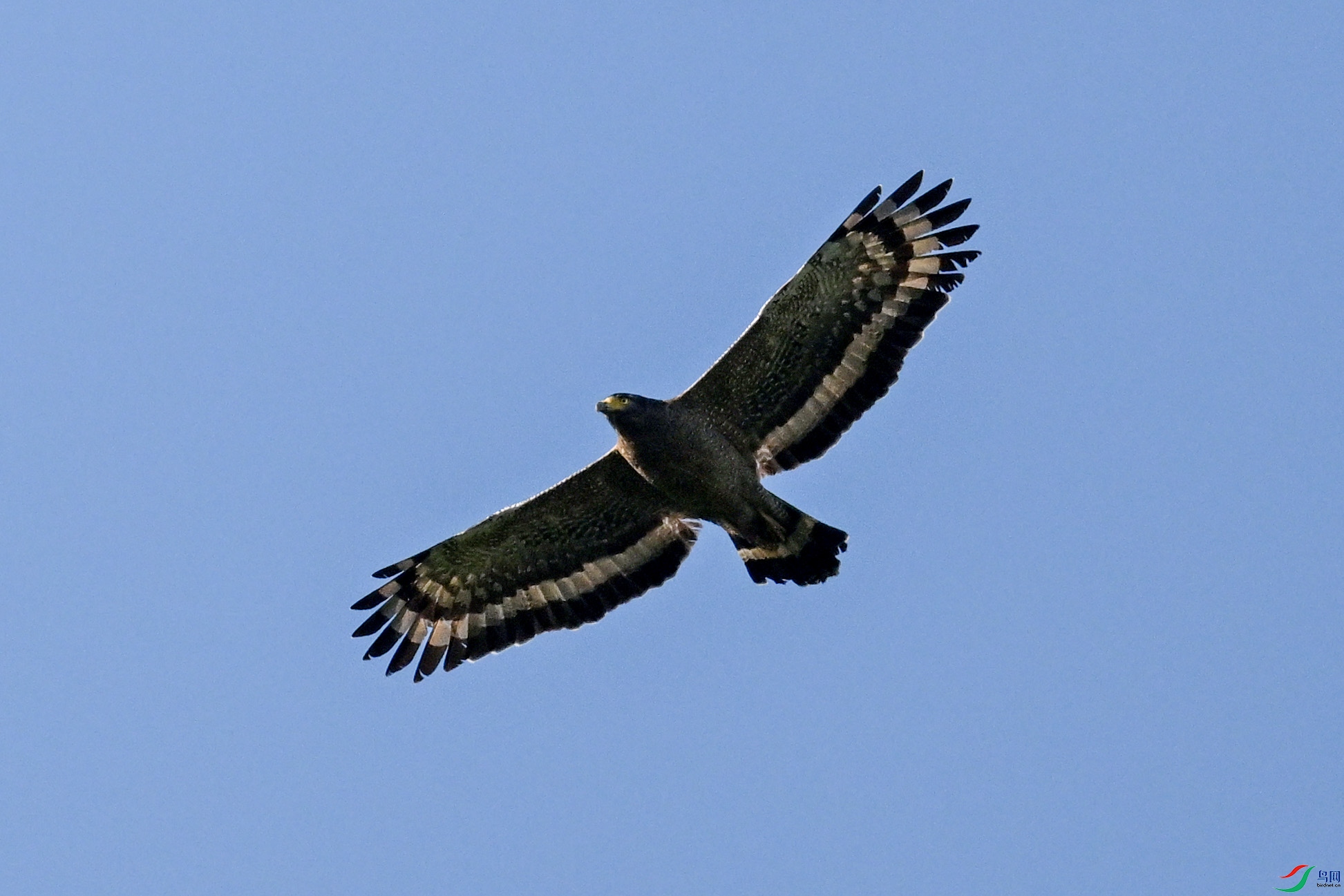DSC_6301.JPG