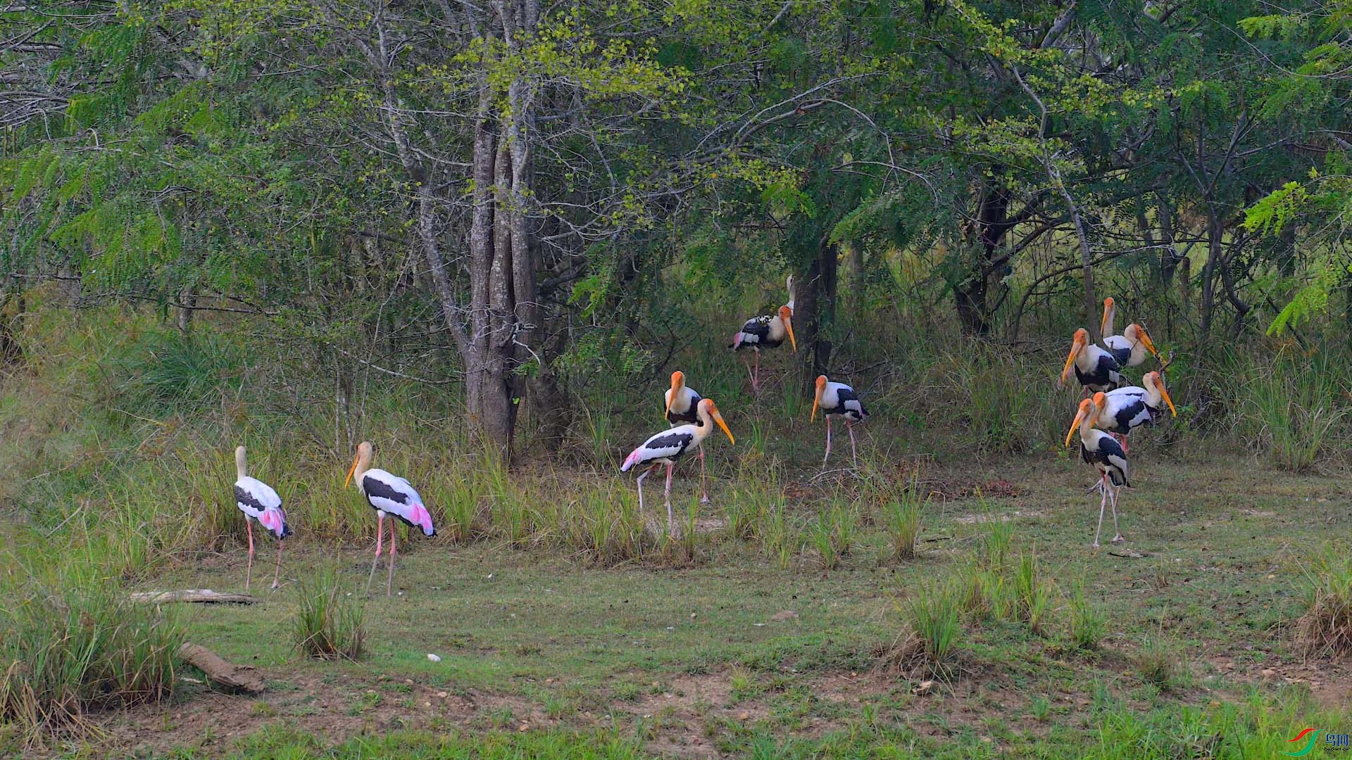 DSC_9960.jpg