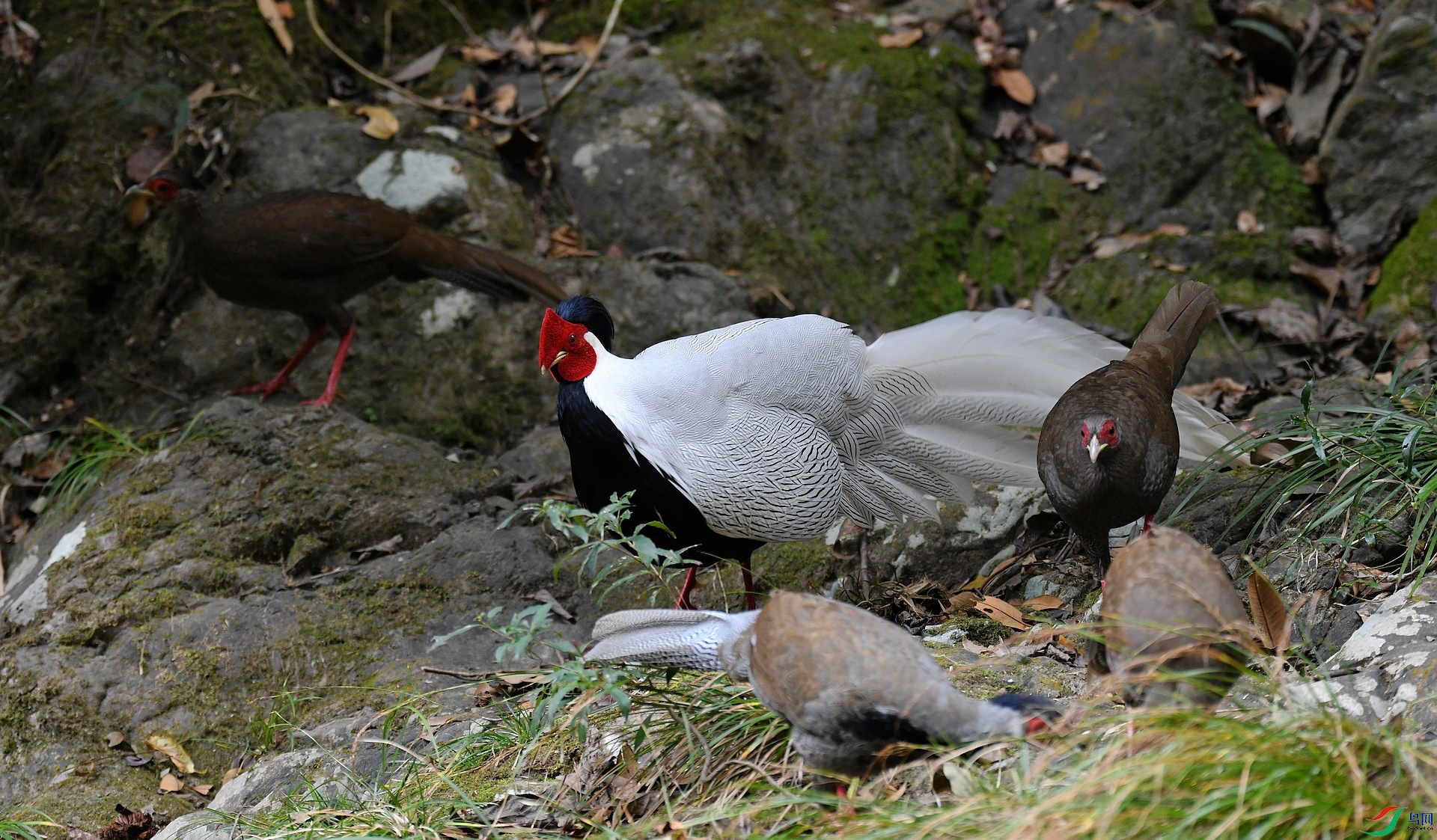 DSC_2198.jpg