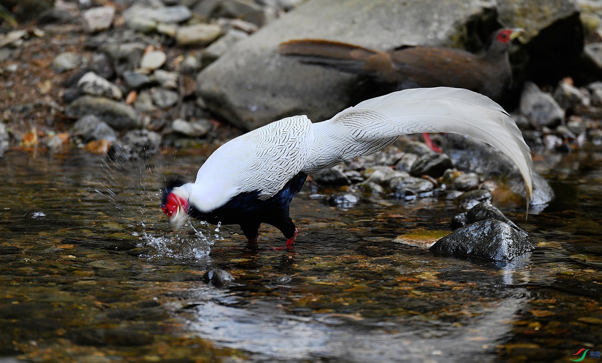 DSC_3272.jpg