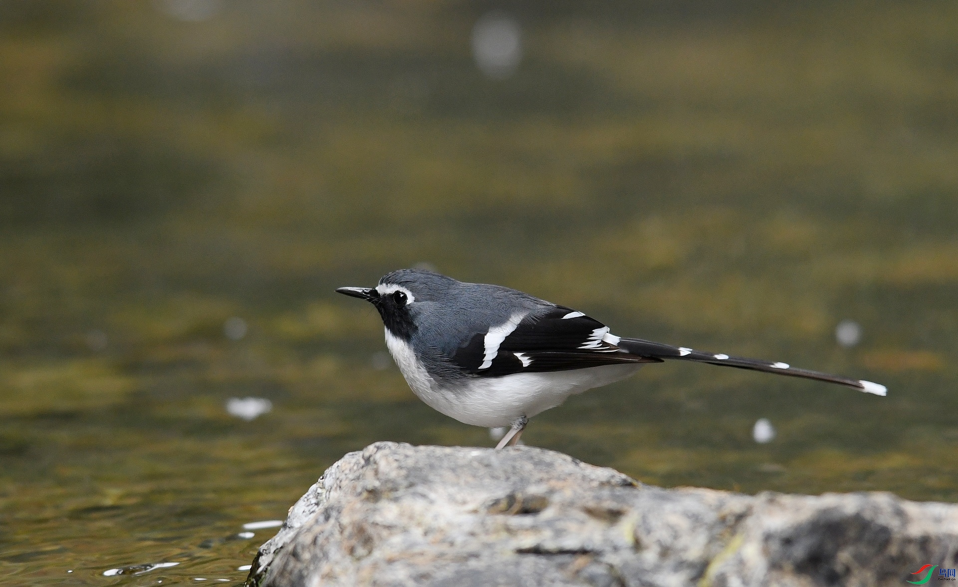 DSC_3820.jpg