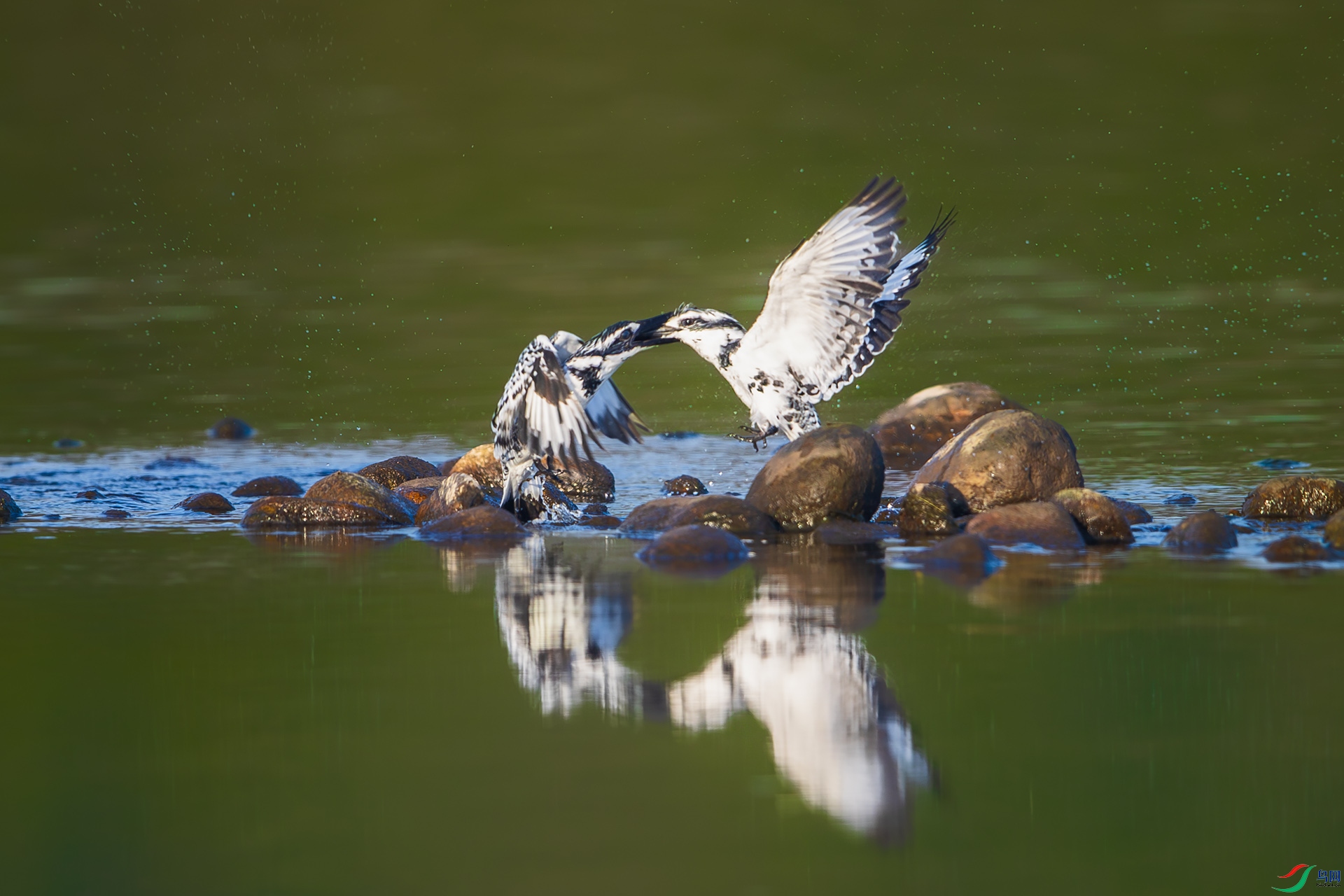 _U3I0147 ����.jpg