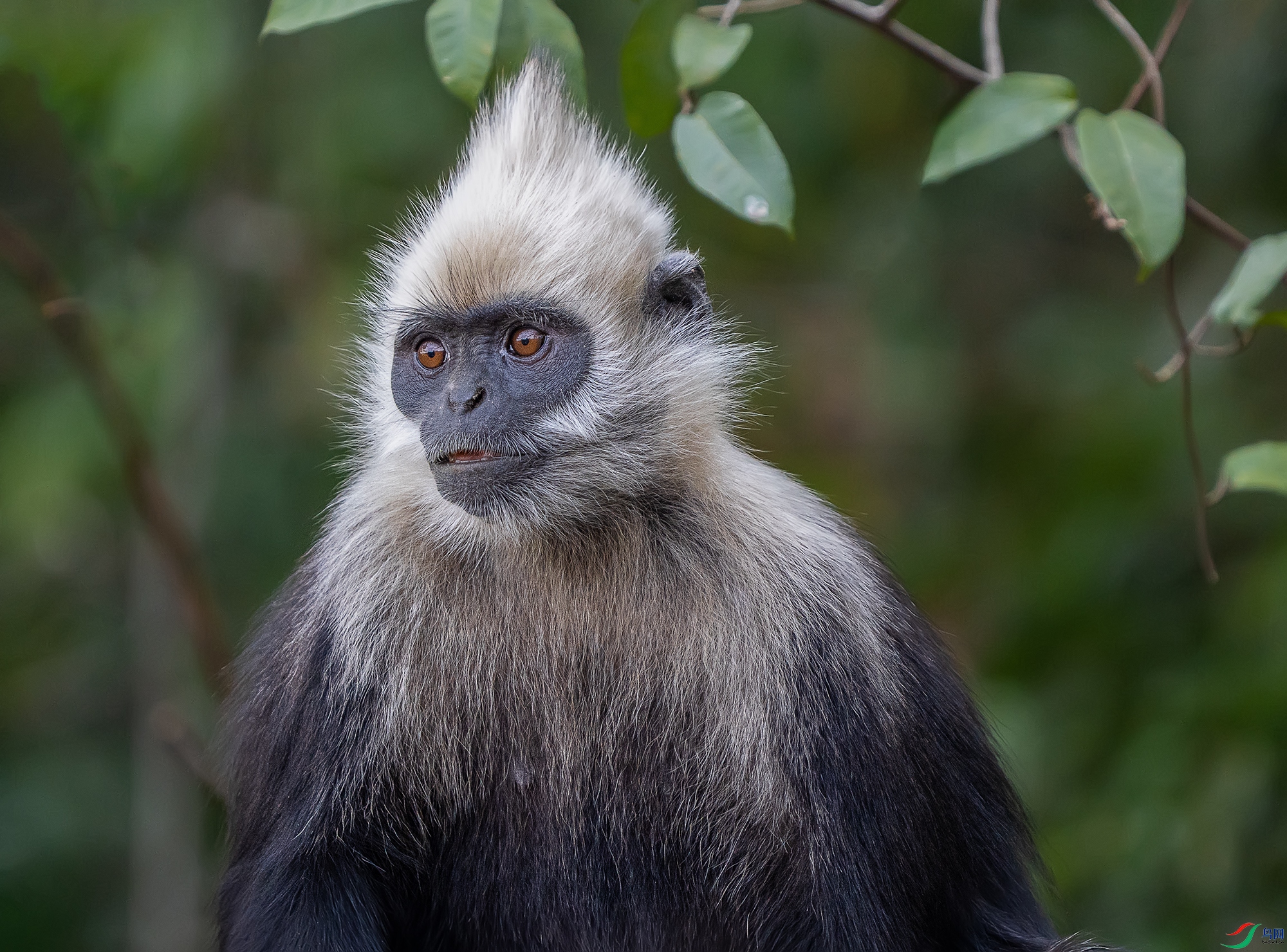 DSC07795 ����.jpg