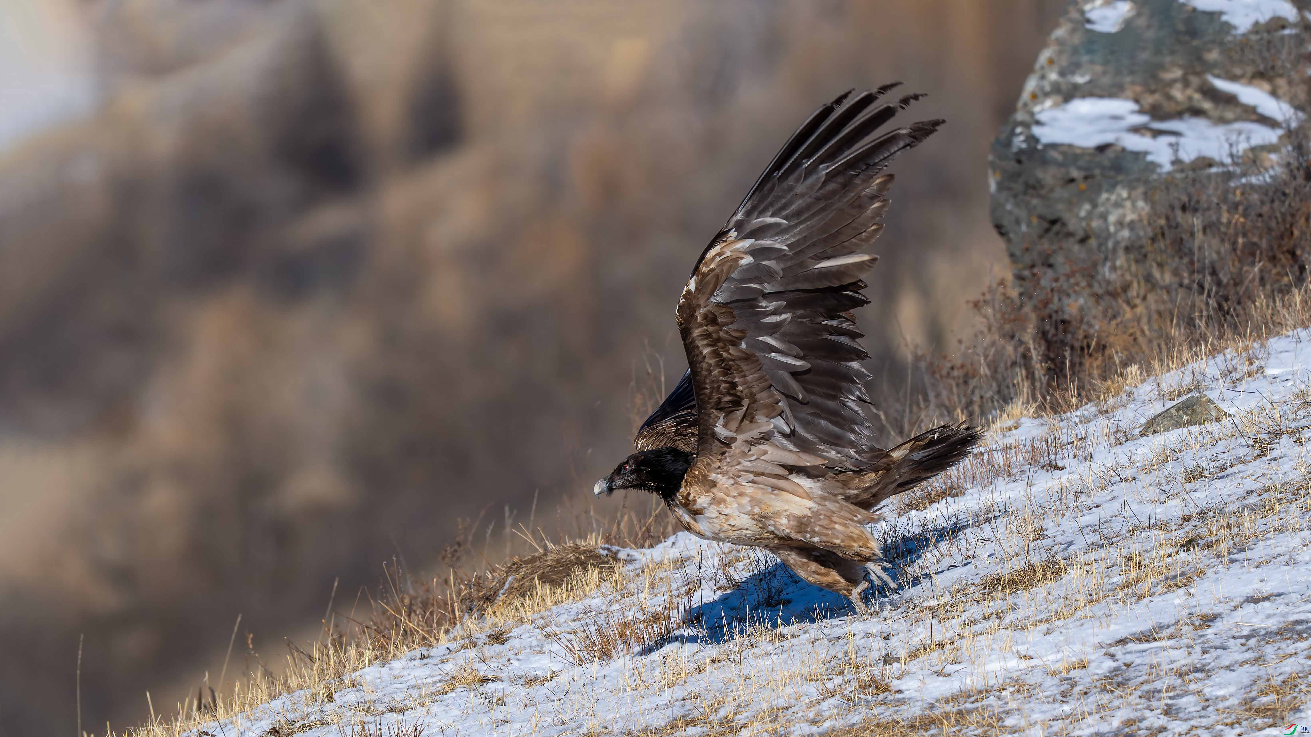 _DSC0884 ����С.jpg