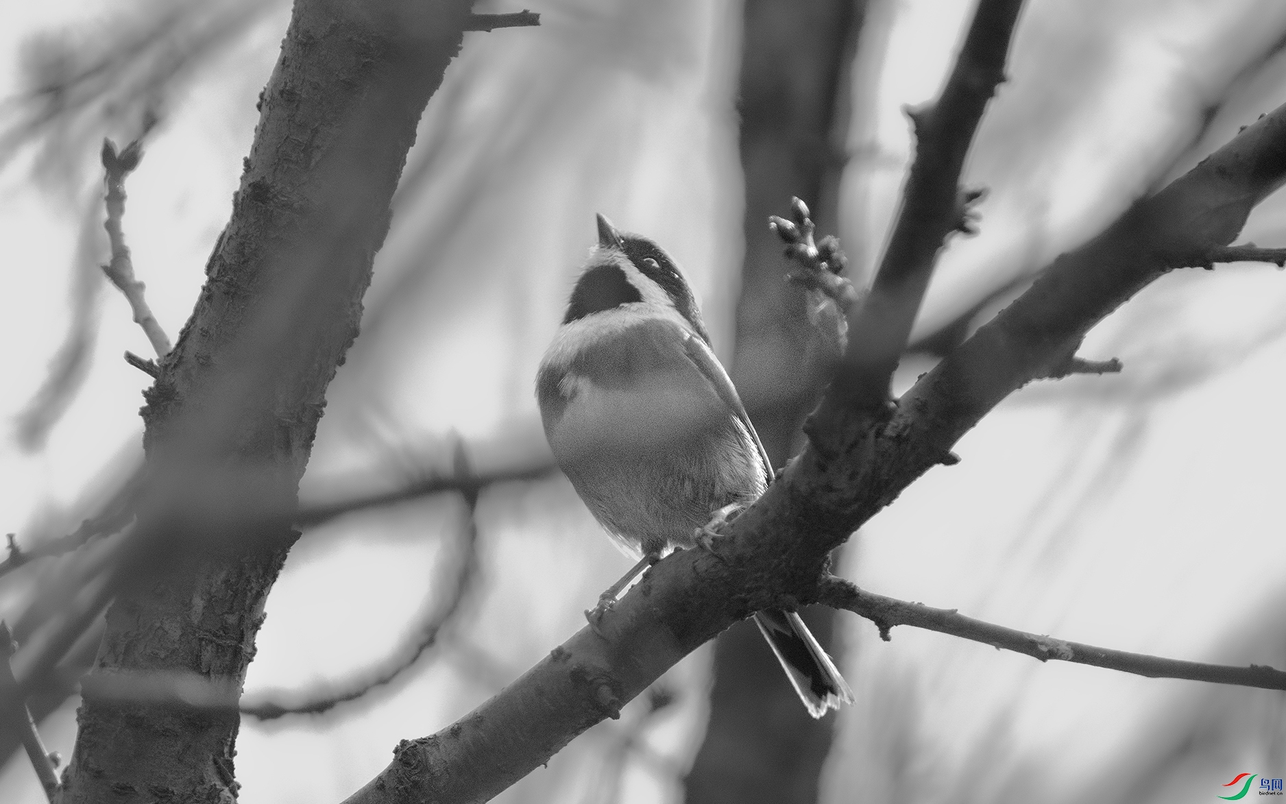 DSC_3143 ����.jpg