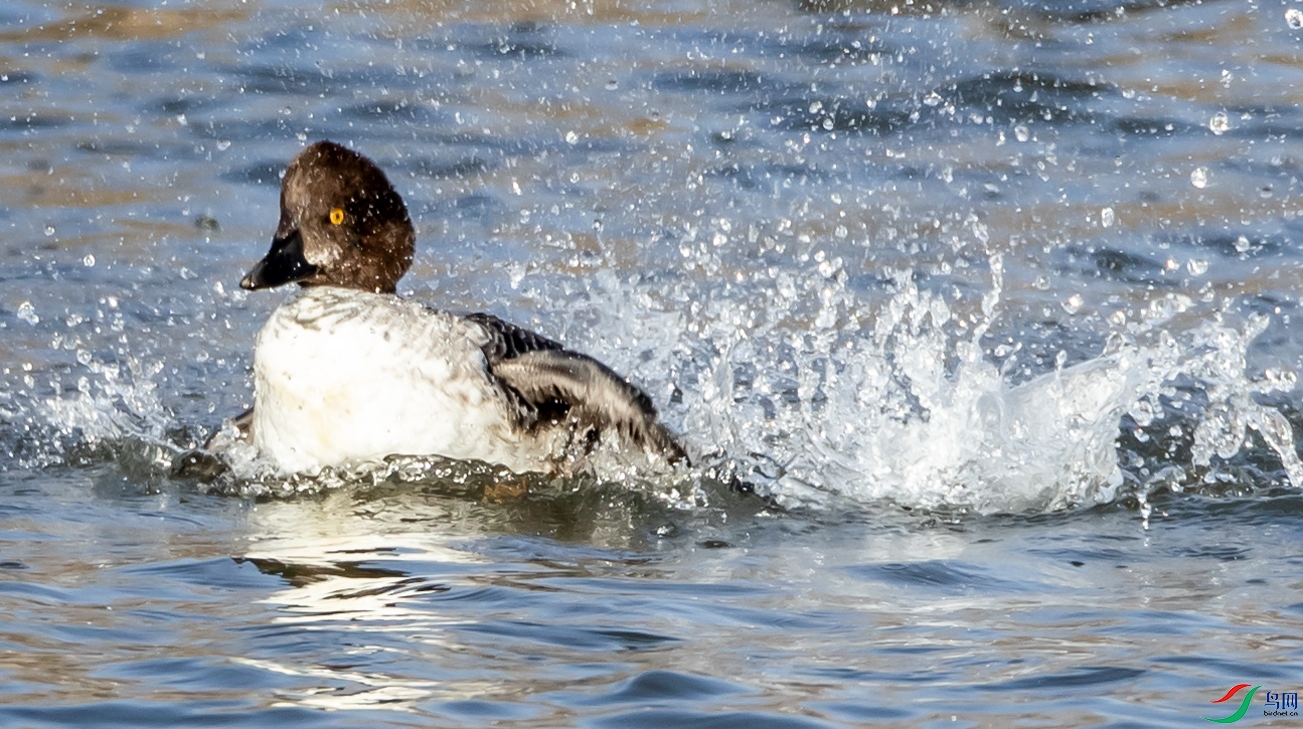 B26I8922 ȵѼ003.jpg